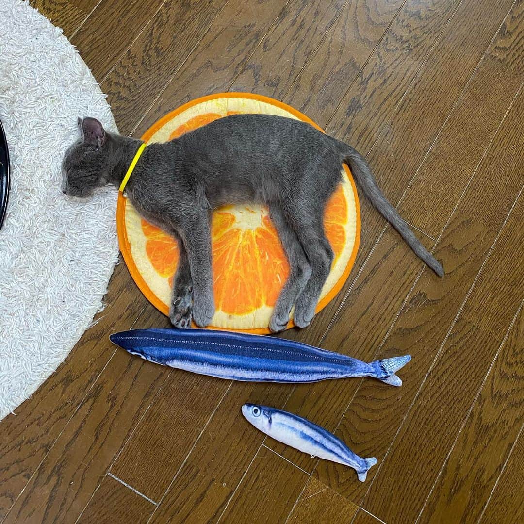 midoriのインスタグラム