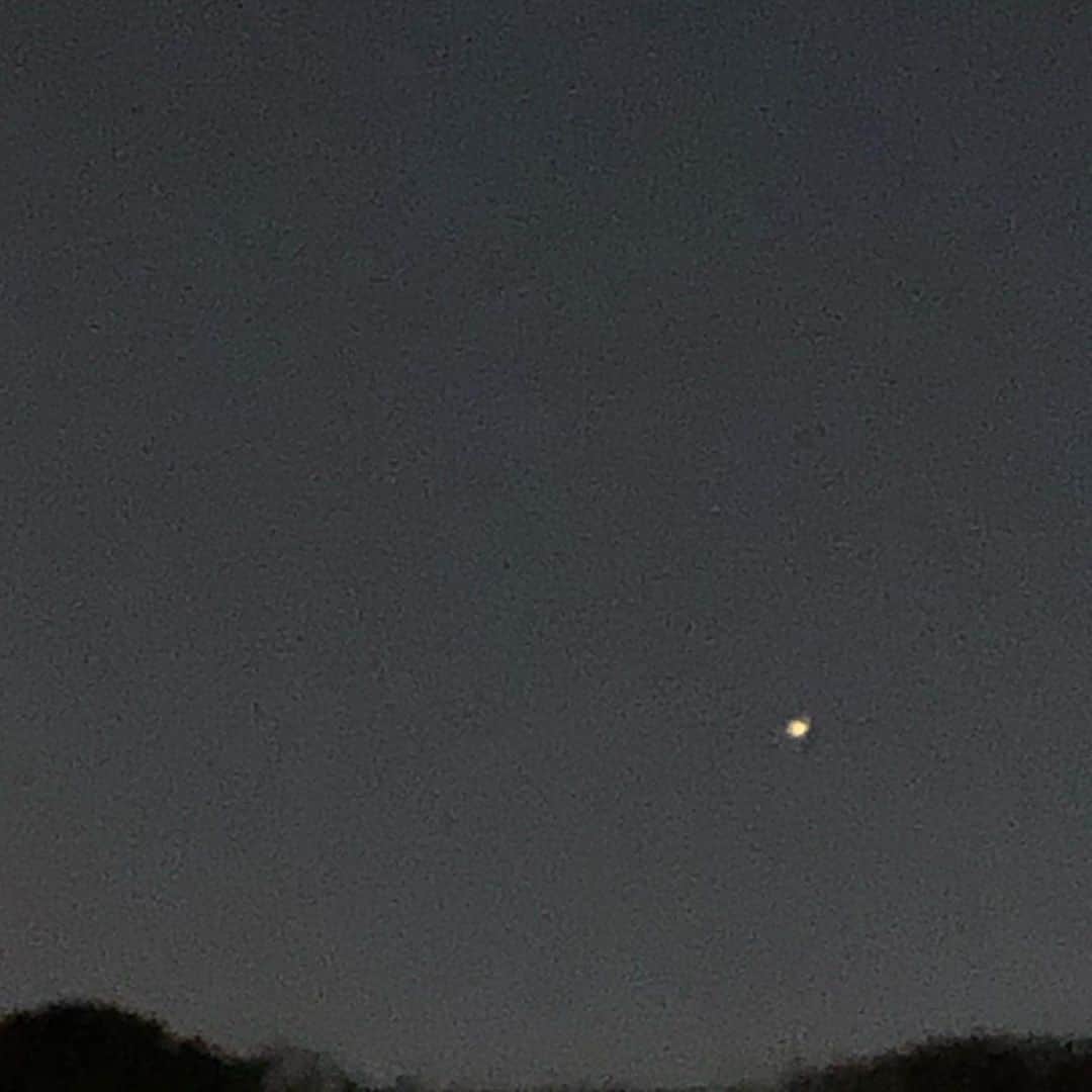 いとうせいこうのインスタグラム：「この木星の右上にチロッとはみ出てるのが土星なのか？」