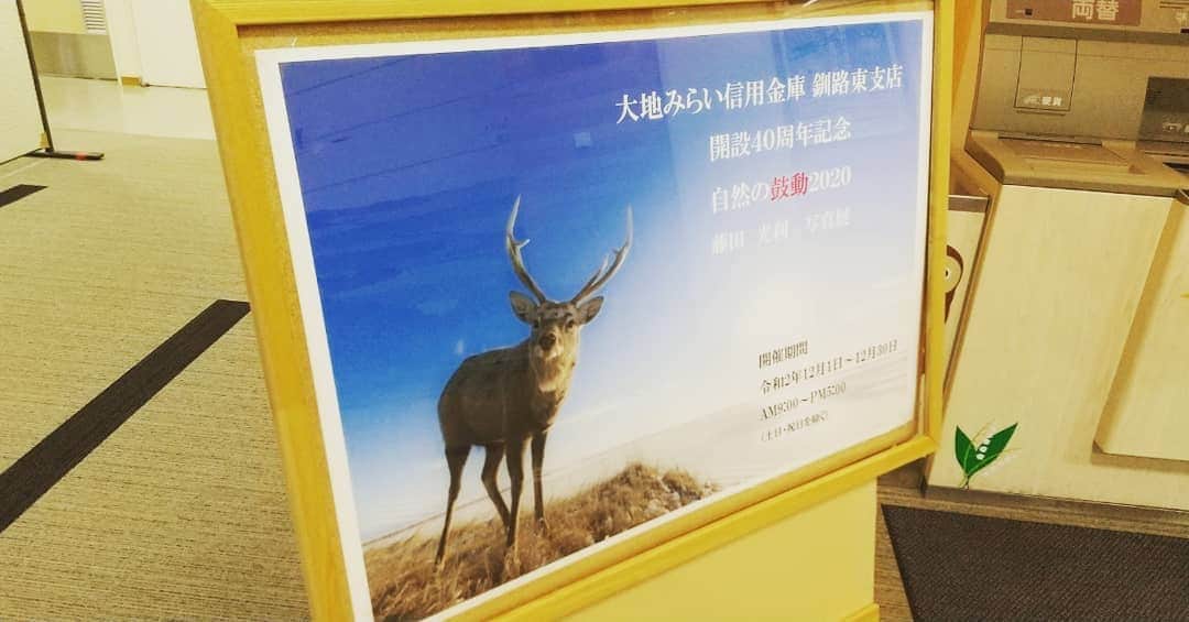鈴木貴子さんのインスタグラム写真 - (鈴木貴子Instagram)「大地みらい信用金庫釧路東支店にて 「自然の鼓動2020～藤田光利写真展」が開催中です。  １枚１枚の写真、そして被写体である動物とのドラマがじーん、ときました。←決して感動、美談系ということではない。  30日までの開催です。 ぜひ一人でも多くの方に見ていただきたいと思います🐻 ｶﾞｵ  あー行って良かったなぁ。 自然、自然界ってすごいなぁ。」12月21日 18時32分 - _takako.suzuki_