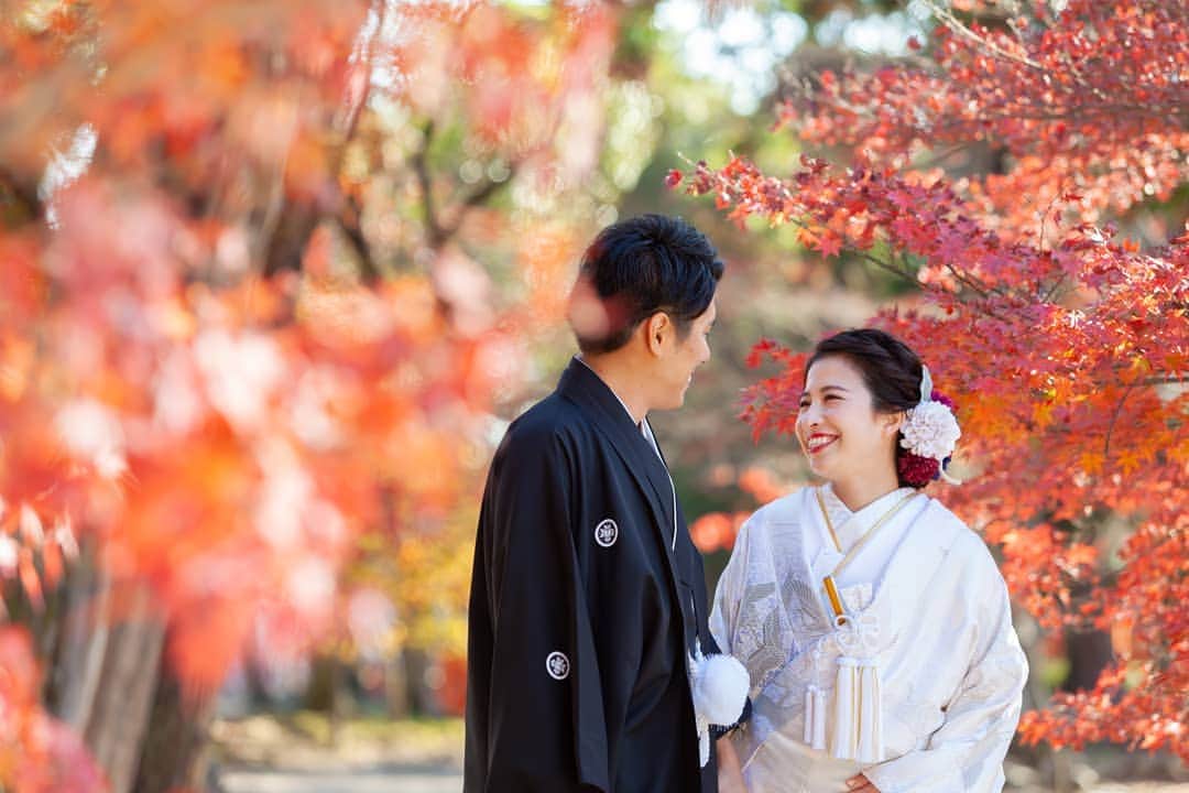 のインスタグラム：「今年の紅葉も綺麗でした🍁 来年の紅葉を狙っている方は、今からお早めにご予約を！  ---------------------------- お二人で、ご家族で、 アットホームな和婚をご希望の方 お気軽に和婚スタイルへご相談下さい。 . . @wakonstyle  プロフィールのリンクから HPをご覧頂けます。 -----------------------------  #神前式#神社婚#和婚#上賀茂神社#大阪#色打掛#紋付袴#紅葉の時期に結婚式#色打掛#番傘#和婚花嫁#和婚スタイル#白無垢」