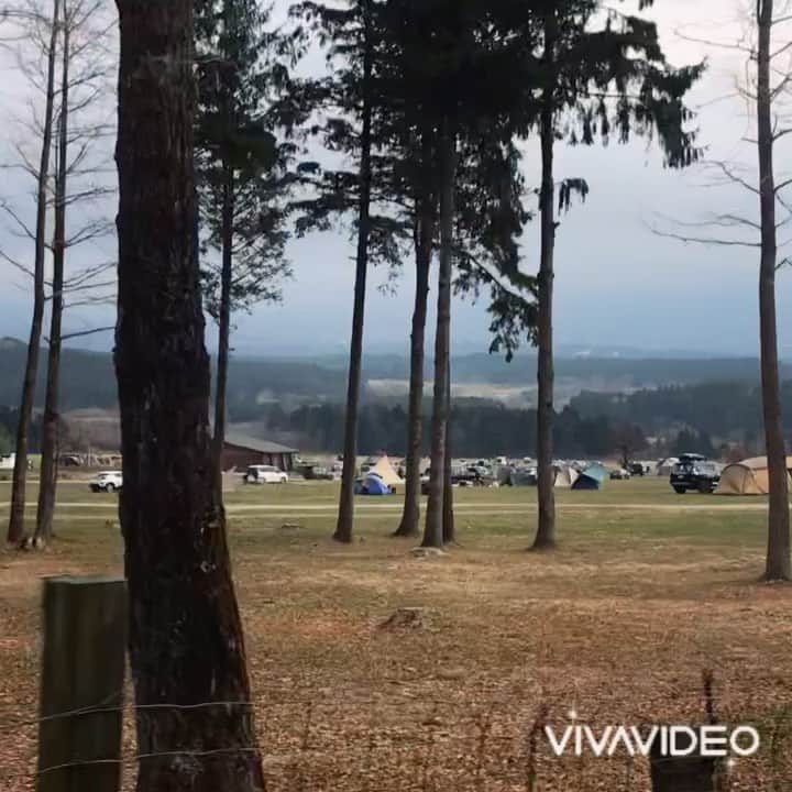 ikumiのグルメインスタ