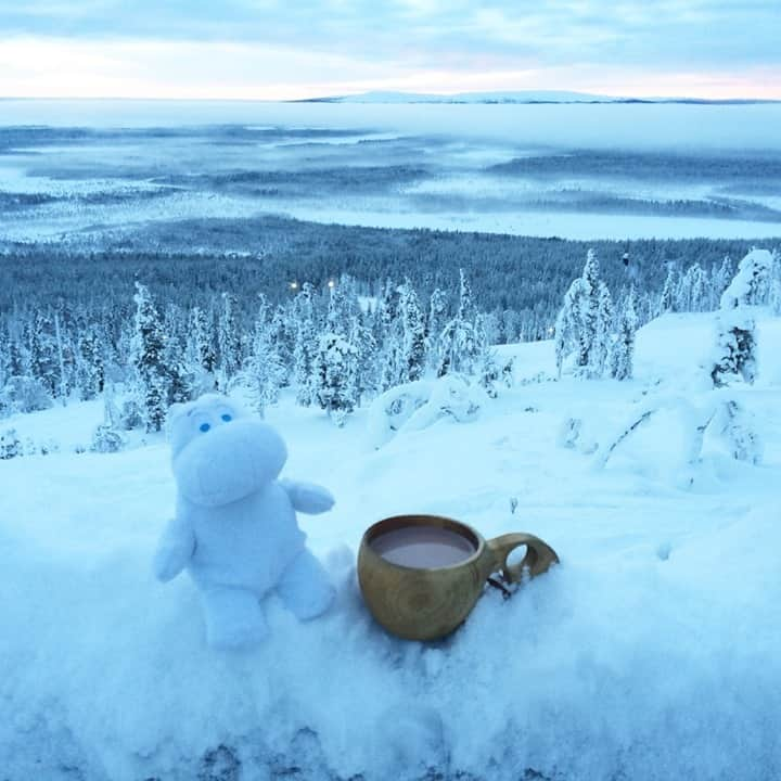 ムーミンさんのインスタグラム写真 - (ムーミンInstagram)「Today is the winter solstice in the Northern Hemisphere marking the shortest day of the year.❄️ Because even the sun is gone and the shortest day means the longest night, it is absolutely the best day of the year to relax and read a book.📚   Moominland Midwinter and A Winter book are our choices for this day! Which one is yours?💙   #moomin #moominofficial #ToveJansson」12月21日 19時09分 - moominofficial