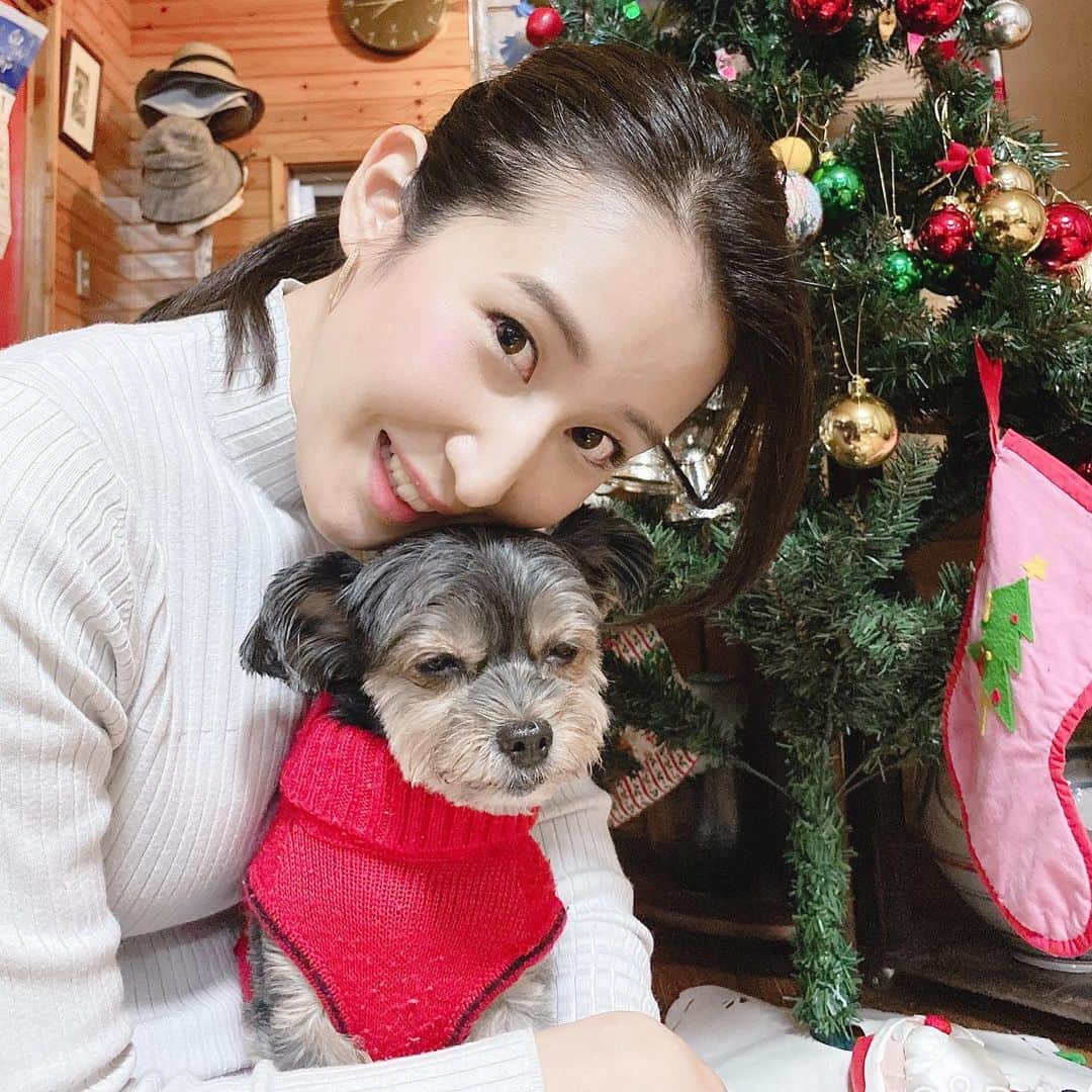 長嶺花菜さんのインスタグラム写真 - (長嶺花菜Instagram)「愛犬チャロ🐶﻿  1枚目はチャロ半目。 2枚目は私が半目。  ワンちゃんとのNICEショットはなかなか難しい🤔﻿  チャロはお疲れモード😅 付き合わせてごめんね🐶🙏」12月21日 19時13分 - kana_nagamine