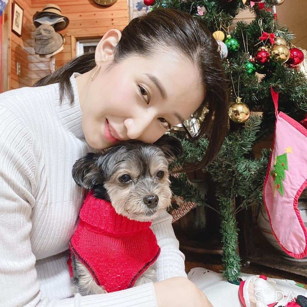 長嶺花菜さんのインスタグラム写真 - (長嶺花菜Instagram)「愛犬チャロ🐶﻿  1枚目はチャロ半目。 2枚目は私が半目。  ワンちゃんとのNICEショットはなかなか難しい🤔﻿  チャロはお疲れモード😅 付き合わせてごめんね🐶🙏」12月21日 19時13分 - kana_nagamine