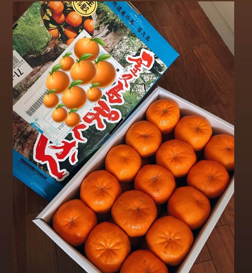 大湯みほさんのインスタグラム写真 - (大湯みほInstagram)「………… やったー😊🙌✨✨ 大好き・ポンカン🍊✨✨ ・ 屋久島ぽんかんが、ぎっしり✨✨🍊届きましたぁ🥰クリスマス前に、素敵な贈り物🎁ありがとうございます！フレッシュなうちに、そのまま食べたり…ジュース🍹にしたり楽しませていただきます✨ ・ #fresh #fruits #ponkan  #鹿児島　#素敵な贈り物　#🍊　#屋久島ポンカン #いつもありがとうございます　#😌」12月21日 19時43分 - nukazukemiho0320