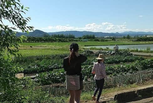 LDH kitchenさんのインスタグラム写真 - (LDH kitchenInstagram)「. @ldhfarm_official  🚛〜LDH farm〜🚛 ・ 《Farmers Market》 ・ 【みかりんが作る喉の美容液「美かりん」かりんジュレ】 ・ 福島県『かんたファーム』から「美かりん」(かりんジュレ)の販売が開始しました‼︎ ・ のど飴や蜂蜜漬けで知られるかりんは、芳醇な香りを持つ果物で、春に花が咲き秋に果実を収穫するバラ科の果実です🍋・ 実が固く、渋味が強いので生では食べられないため、他の果物のようにスーパーや青果店で旬の時期でもなかなか見かけることができません😢・ その固いかりんからエキスだけを抽出し、砂糖とレモンを加えてじっくり炊き込んでできたのが【喉の美容液 美かりん】で、赤くルビーのように輝くかりんのジュレです♪・ ティースプーンで一口ぺろっと😋・ 紅茶やハーブティーに入れたり、お湯割りや焼酎割り、ヨーグルトに入れたりと色々な使い方が出来るシロップです🎶・ ステーキにつけても美味しいです😳✨・ かりんは咳や痰など喉の炎症に効果が期待できる果物で、インフルエンザの予防にも効果があると言われています🤔・ ビタミンCやカロテンが豊富で美肌効果も期待できます‼︎・ かりんの香りはリラックス作用があり、かりんに含まれるクエン酸は疲労回復にも効果があります‼︎・ カリウムも含まれているので、冷え性やむくみの改善にもお勧めです‼︎・ ・ 『かんたファーム』は山に囲まれた盆地特有の寒暖の差で、旨みをギュッと凝縮された農産物が収穫できます✨・ その恵まれた自然環境を活かし、完熟堆肥、竹パウダーの有機肥料を使い減農薬を心がけ愛情いっぱい栽培しています👨‍🌾・ 生産者の私の名前が美嘉なので、「美かりん」と名付けた、愛情たっぷりのかりんジュレを是非お楽しみください🙇🏻‍♀️✨ ・ ・ LDH farmでは、全国の素晴らしい生産者との取り組みとして、産地直送の農産物を販売しております。・ ・ 注文方法や詳細は、LDH farmのホームページより、ご確認ください。 ・ ・ 【商品詳細】・ みかりんが作る喉の美容液「美かりん」・ かりんジュレ100ｇ×3本・ 3,760円(税込4,061円) ・ 【送料】・ 送料込み🚛 ・ 【生産地】・ 福島県福島市大笹生『かんたファーム』 ・ ・ ■ご注文：LDH farm（https://www.ldhfarm.co.jp/product/） ・ __🍋🍯🍋🍯🍋🍯__ ・ @ldhfarm_official ・  のプロフィールURLからご購入いただけます🤗  ____________________________________ #LDHfarm #FarmersMarket #eatveggies #おうち時間 #LDHJAPAN #LDHkitchen #福島県 #大笹生 #かんたファーム #旬の果物 #花梨 #かりんジュレ #美かりん #LDHkitchen」12月21日 19時54分 - ldhkitchen_official