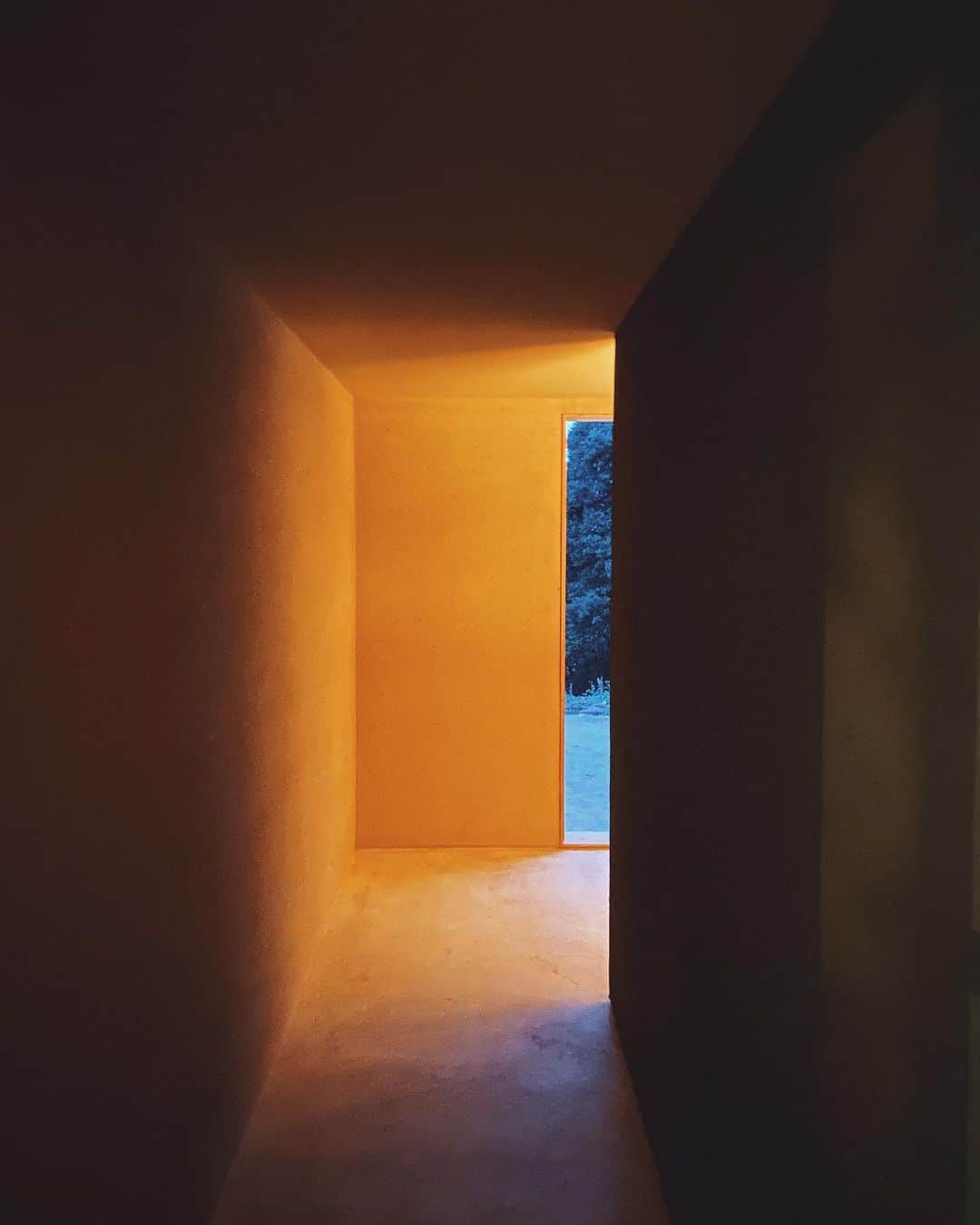 金セアルのグルメインスタ