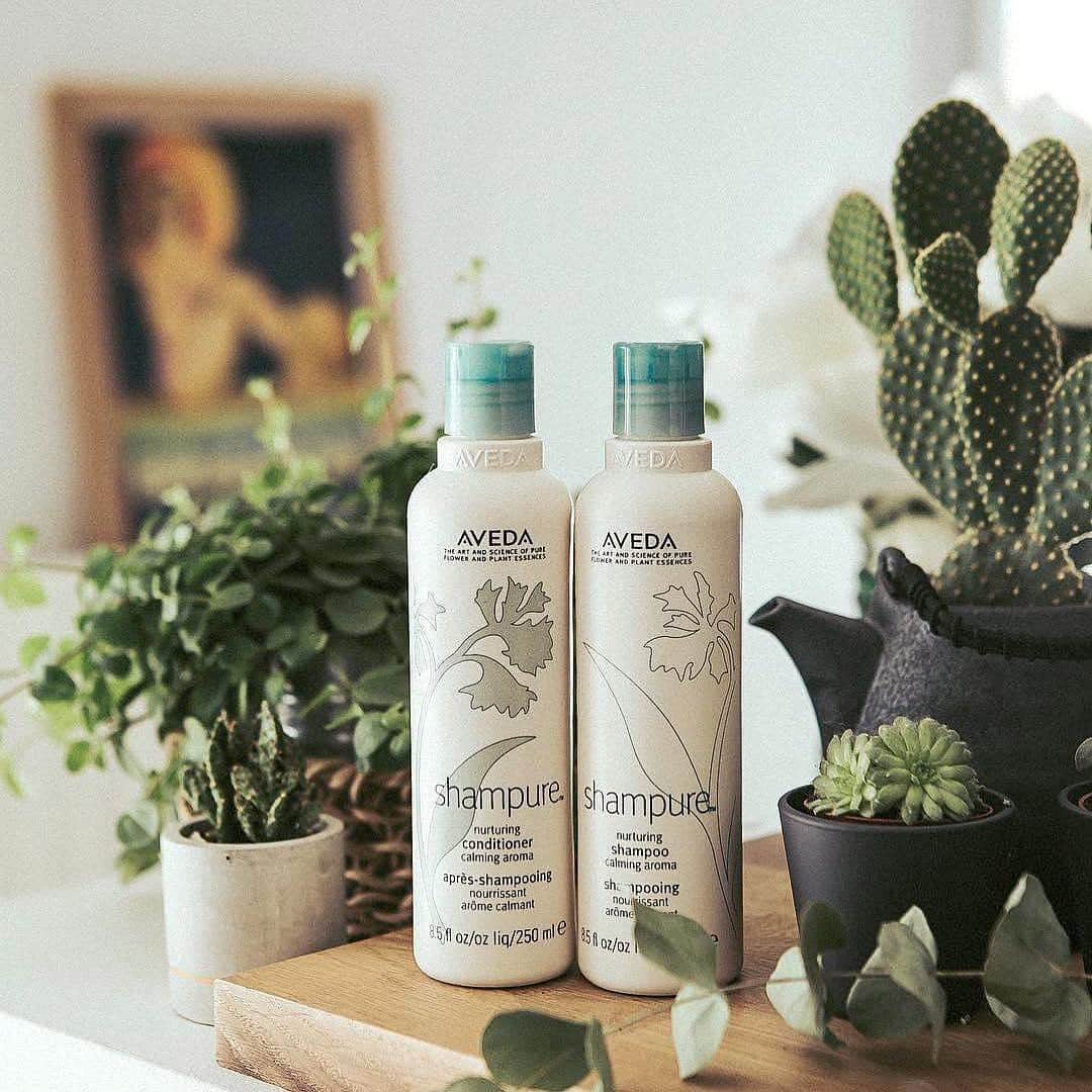 Aveda Japanのインスタグラム