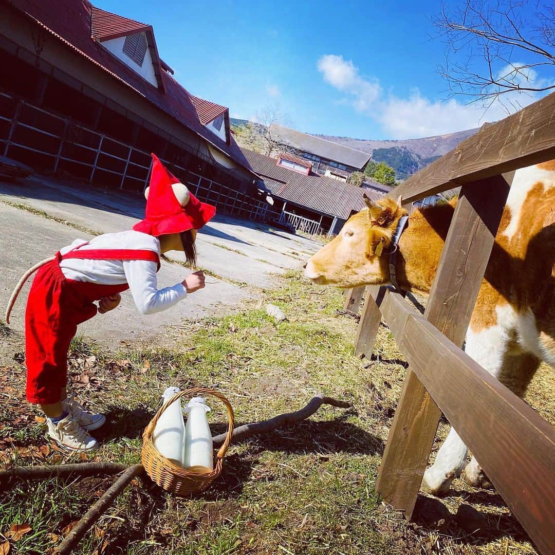iko-yo（いこーよオフィシャル）さんのインスタグラム写真 - (iko-yo（いこーよオフィシャル）Instagram)「・﻿ 今日の #いこーよおでかけ部 は、【ガンジーファーム】！﻿ ━━━━━━━━━━━━━━━﻿ 📸pickup…riri__gram7さん﻿ 🐄…#ガンジーファーム﻿ 🚗…大分県竹田市﻿ 日本では数百頭しか飼育されていないイギリス・ガンジー島原産のガンジー牛から搾られたゴールデンミルクが味わえる牧場。ガンジー牛のほかにも、ポニーに乗馬できたり、ふれあい牧場で放牧されているウサギやヤギ、ヒツジたちを見たりすることもできます。﻿ ━━━━━━━━━━━━━━━﻿ ＜faciities＞---------------------------﻿ 🐄ガンジーファーム﻿ いこーよ：https://iko-yo.net/facilities/15410﻿ 住所：大分県竹田市久住町大字久住4004-56﻿ 営業時間：09時00分 ～ 17時00分﻿ レストランは10：00～16：00﻿ 定休日：ー﻿ 料金：無料﻿ 体験・施設利用料が別途必要な場合があります。﻿ ------------------------------------------﻿ ﻿  いこーよ@ikoyo_odekake では素敵な写真をピックアップし、「親子でおでかけしたい場所」をご紹介させていただいています😊❣️﻿ ﻿ お子さんとのおでかけの思い出の写真を、このアカウントをフォローの上 #いこーよ を付けてぜひ投稿してください。魅力的な写真は、いこーよ公式SNSで紹介させていただきます！ 沢山のご投稿お待ちしております。﻿ ﻿ ✨募集中タグ #いこーよ﻿ ﻿ 📱子供の年齢に合ったおでかけ先が見つかる「いこーよ」公式アプリのダウンロードはAppStore 、Google Playで「いこーよ」で検索！﻿ ・﻿ ・」12月21日 20時46分 - ikoyo_odekake