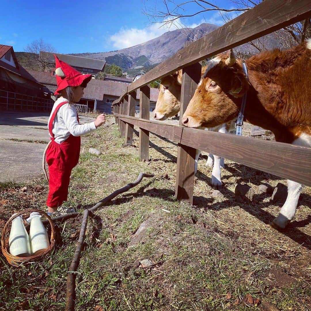 iko-yo（いこーよオフィシャル）さんのインスタグラム写真 - (iko-yo（いこーよオフィシャル）Instagram)「・﻿ 今日の #いこーよおでかけ部 は、【ガンジーファーム】！﻿ ━━━━━━━━━━━━━━━﻿ 📸pickup…riri__gram7さん﻿ 🐄…#ガンジーファーム﻿ 🚗…大分県竹田市﻿ 日本では数百頭しか飼育されていないイギリス・ガンジー島原産のガンジー牛から搾られたゴールデンミルクが味わえる牧場。ガンジー牛のほかにも、ポニーに乗馬できたり、ふれあい牧場で放牧されているウサギやヤギ、ヒツジたちを見たりすることもできます。﻿ ━━━━━━━━━━━━━━━﻿ ＜faciities＞---------------------------﻿ 🐄ガンジーファーム﻿ いこーよ：https://iko-yo.net/facilities/15410﻿ 住所：大分県竹田市久住町大字久住4004-56﻿ 営業時間：09時00分 ～ 17時00分﻿ レストランは10：00～16：00﻿ 定休日：ー﻿ 料金：無料﻿ 体験・施設利用料が別途必要な場合があります。﻿ ------------------------------------------﻿ ﻿  いこーよ@ikoyo_odekake では素敵な写真をピックアップし、「親子でおでかけしたい場所」をご紹介させていただいています😊❣️﻿ ﻿ お子さんとのおでかけの思い出の写真を、このアカウントをフォローの上 #いこーよ を付けてぜひ投稿してください。魅力的な写真は、いこーよ公式SNSで紹介させていただきます！ 沢山のご投稿お待ちしております。﻿ ﻿ ✨募集中タグ #いこーよ﻿ ﻿ 📱子供の年齢に合ったおでかけ先が見つかる「いこーよ」公式アプリのダウンロードはAppStore 、Google Playで「いこーよ」で検索！﻿ ・﻿ ・」12月21日 20時46分 - ikoyo_odekake