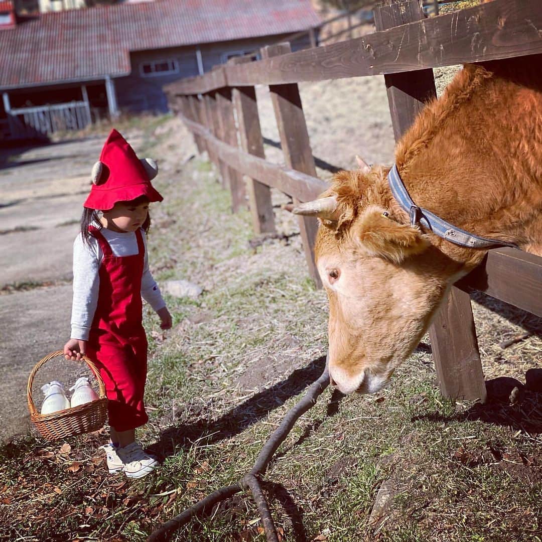 iko-yo（いこーよオフィシャル）さんのインスタグラム写真 - (iko-yo（いこーよオフィシャル）Instagram)「・﻿ 今日の #いこーよおでかけ部 は、【ガンジーファーム】！﻿ ━━━━━━━━━━━━━━━﻿ 📸pickup…riri__gram7さん﻿ 🐄…#ガンジーファーム﻿ 🚗…大分県竹田市﻿ 日本では数百頭しか飼育されていないイギリス・ガンジー島原産のガンジー牛から搾られたゴールデンミルクが味わえる牧場。ガンジー牛のほかにも、ポニーに乗馬できたり、ふれあい牧場で放牧されているウサギやヤギ、ヒツジたちを見たりすることもできます。﻿ ━━━━━━━━━━━━━━━﻿ ＜faciities＞---------------------------﻿ 🐄ガンジーファーム﻿ いこーよ：https://iko-yo.net/facilities/15410﻿ 住所：大分県竹田市久住町大字久住4004-56﻿ 営業時間：09時00分 ～ 17時00分﻿ レストランは10：00～16：00﻿ 定休日：ー﻿ 料金：無料﻿ 体験・施設利用料が別途必要な場合があります。﻿ ------------------------------------------﻿ ﻿  いこーよ@ikoyo_odekake では素敵な写真をピックアップし、「親子でおでかけしたい場所」をご紹介させていただいています😊❣️﻿ ﻿ お子さんとのおでかけの思い出の写真を、このアカウントをフォローの上 #いこーよ を付けてぜひ投稿してください。魅力的な写真は、いこーよ公式SNSで紹介させていただきます！ 沢山のご投稿お待ちしております。﻿ ﻿ ✨募集中タグ #いこーよ﻿ ﻿ 📱子供の年齢に合ったおでかけ先が見つかる「いこーよ」公式アプリのダウンロードはAppStore 、Google Playで「いこーよ」で検索！﻿ ・﻿ ・」12月21日 20時46分 - ikoyo_odekake