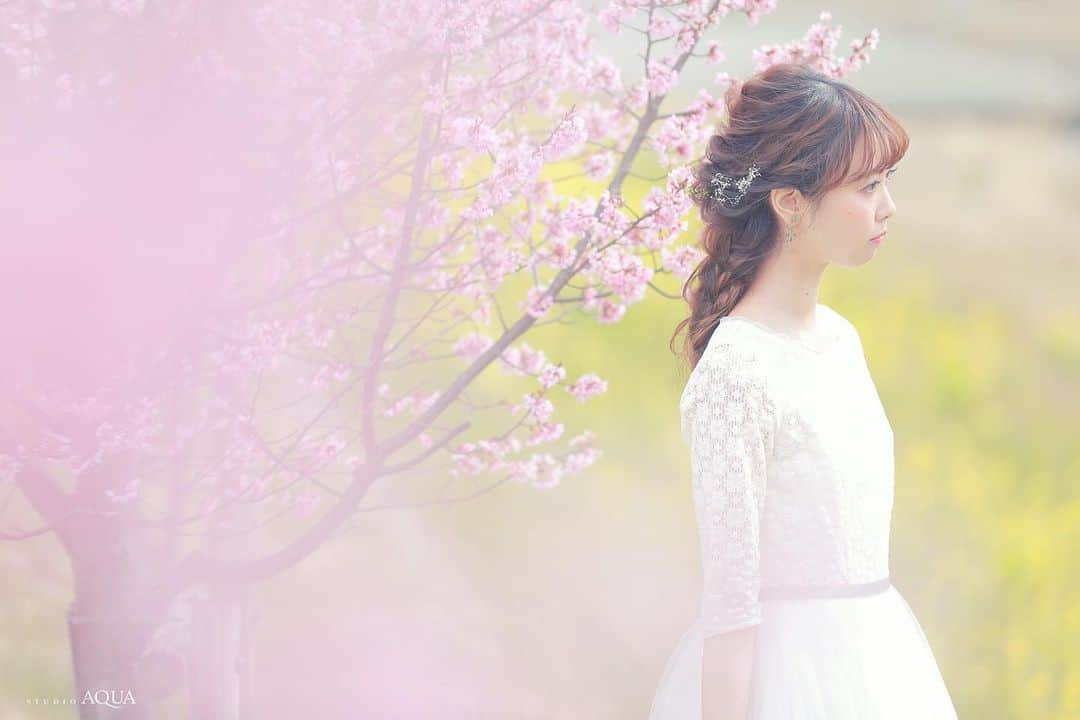 のインスタグラム：「🌸先行予約受付開始🌸﻿ ﻿ シーズン限定！﻿ 一足先に春を感じられる、﻿ 河津桜とともに残す結婚写真を✨﻿ ﻿ 毎年大好評をいただいております﻿ 伊豆の風物詩である日本一の早咲きの桜「河津桜」と﻿ 撮影するロケーションフォトプラン予約受付スタート！﻿ ﻿ 河津桜は他の桜よりもピンク色が強く﻿ 愛らしい色合いが特徴🌸﻿ 絵画のように美しい風景の中で、﻿ 幸せいっぱいの結婚写真を残せます！﻿ ﻿ ﻿ おかげさまでたくさんのお問い合わせ、﻿ 撮影のご予約をいただいております🙇‍♀️﻿ スタジオアクア6店舗でご予約受付中！﻿ お問い合わせはお早めに✨﻿ ﻿ ﻿ デコルテ公式アカウント﻿ ▷▷ @decollte_weddingphoto﻿ ﻿ スタジオアクア富士店🗻﻿ ▷▷ @studioaqua_fuji﻿ ﻿ スタジオアクア横浜みなとみらい店﻿ ▷▷ @studioaqua_yokohama﻿ ﻿ スタジオアクア表参道渋谷店﻿ ▷▷ @studioaqua_shibuya  ﻿ スタジオアクア新宿店﻿ ▷▷ @studioaqua.shinjuku  ﻿ スタジオアクア浅草店﻿ ▷▷ @studioaqua_asakusa  ﻿ スタジオアクア立川店﻿ ▷▷ @studioaqua_tachikawa229  ﻿ ﻿ ＼オンライン撮影相談会スタート✨／﻿ パソコン・スマートフォンから﻿ 前撮り、フォトウエディングの相談が可能！﻿ 当店HPよりご予約受付中！﻿ ﻿ ﻿ お得な割引キャンペーンも実施中！﻿ HPを要チェック✔﻿ ﻿ ﻿ #d_weddingphoto﻿ #スタジオアクア﻿ #スタジオアクア横浜店﻿ #スタジオアクア富士店﻿ #撮る結婚式﻿ #ウェディング﻿ #ウェディングフォト﻿ #フォトウェディング﻿ #フォトスタジオ﻿ #花嫁﻿ #プレ花嫁﻿ #卒花嫁﻿ #関東花嫁﻿ #関西花嫁﻿ #横浜花嫁﻿ #前撮り﻿ #後撮り﻿ #結婚式﻿ #結婚式準備 ﻿ #ヘアメイク﻿ #ヘアアレンジ﻿ #洋装前撮り﻿ #和装前撮り﻿ #ドレス試着﻿ #ドレス迷子﻿ #ウェディングフェア﻿ #プレ花嫁さんと繋がりたい﻿ #全国のプレ花嫁さんと繋がりたい﻿ #日本中のプレ花嫁さんと繋がりたい﻿ #河津桜」