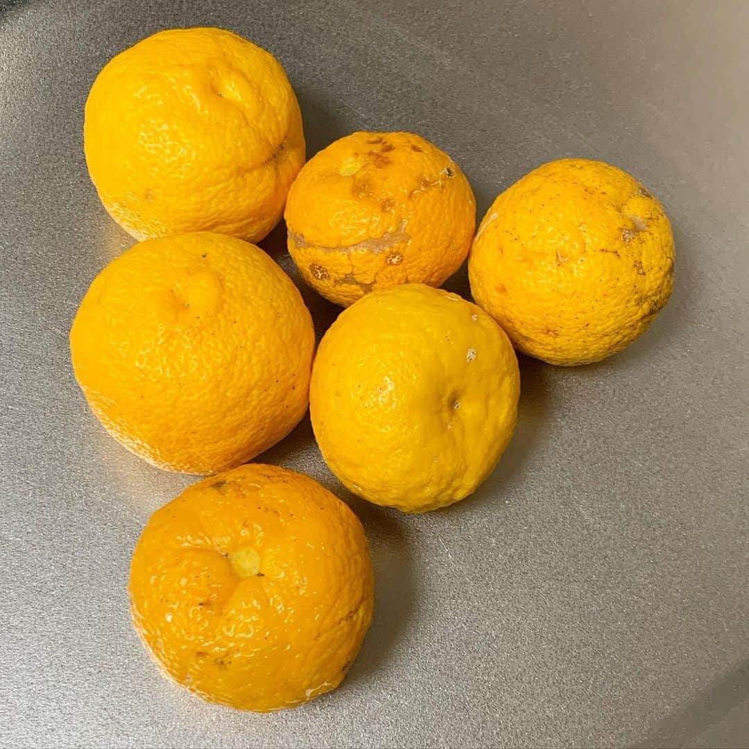 のインスタグラム：「夢のあと #冬至」