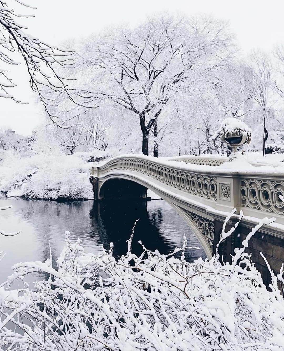 bestvacationsさんのインスタグラム写真 - (bestvacationsInstagram)「Dreaming of Christmas in NYC ❄️ Tag who you’d take to New York City 😍 By @jssilberman, @pankratova916, @kat_in_nyc, @bbsinghphotos, @thewilliamanderson . . . . #bestvacations #travel #travelcommunity #travelblog #travelblogger #travelphotography #nature #adventure #earth #vacation #vacations #paradise #honeymoon #wedding #destinationwedding #engagement #engaged #anniversary #naturephotography #landscapephotography #newyork #newyorkcity #drone #dronephotography #centralpark #nyc #earthpix #dji #amazing #TravelAwesome」12月21日 23時50分 - bestvacations