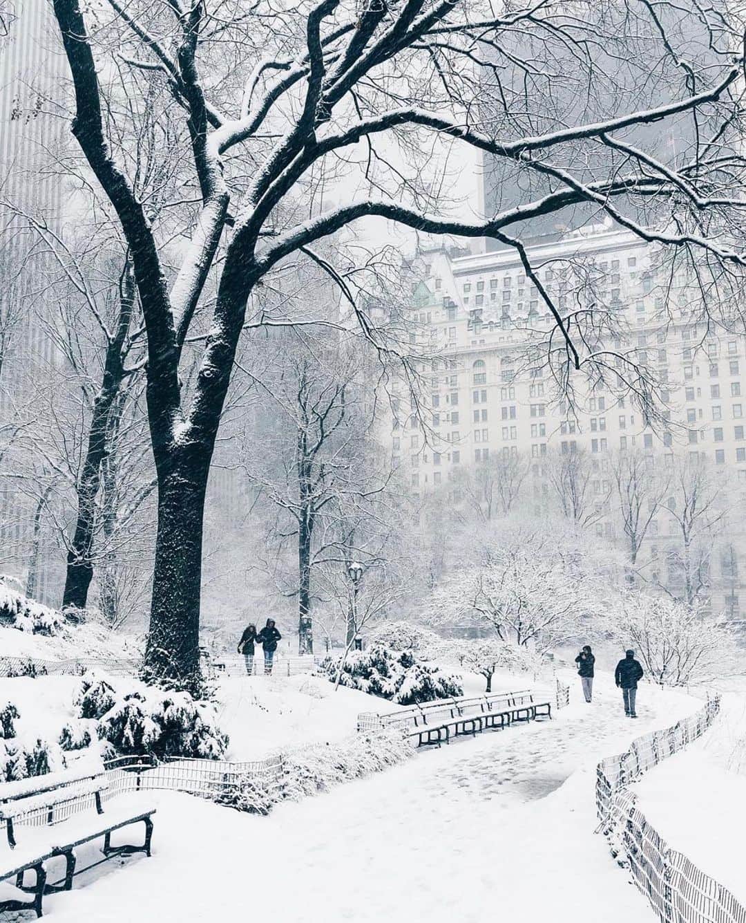 bestvacationsのインスタグラム：「Dreaming of Christmas in NYC ❄️ Tag who you’d take to New York City 😍 By @jssilberman, @pankratova916, @kat_in_nyc, @bbsinghphotos, @thewilliamanderson . . . . #bestvacations #travel #travelcommunity #travelblog #travelblogger #travelphotography #nature #adventure #earth #vacation #vacations #paradise #honeymoon #wedding #destinationwedding #engagement #engaged #anniversary #naturephotography #landscapephotography #newyork #newyorkcity #drone #dronephotography #centralpark #nyc #earthpix #dji #amazing #TravelAwesome」