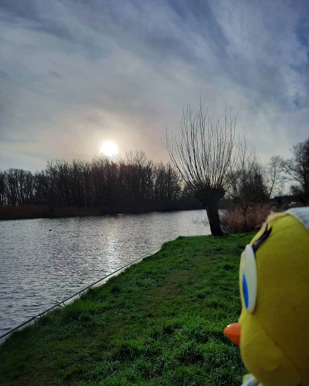 Little Yellow Birdさんのインスタグラム写真 - (Little Yellow BirdInstagram)「Today is the shortest day of the year; appropriately so on a Monday!😬 So, basically it's almost spring again! #littleyellowbird #tweety #tweetykweelapis #adventures #yellow #bird #monday #mondayssuck #mondayblues #december #winter #solstice #kortstedag #zonnewende #spiegelplas #darkdays #darkdaysbeforechristmas #stuffedanimalsofinstagram #plushiesofinstagram」12月21日 23時52分 - tweetykweelapis