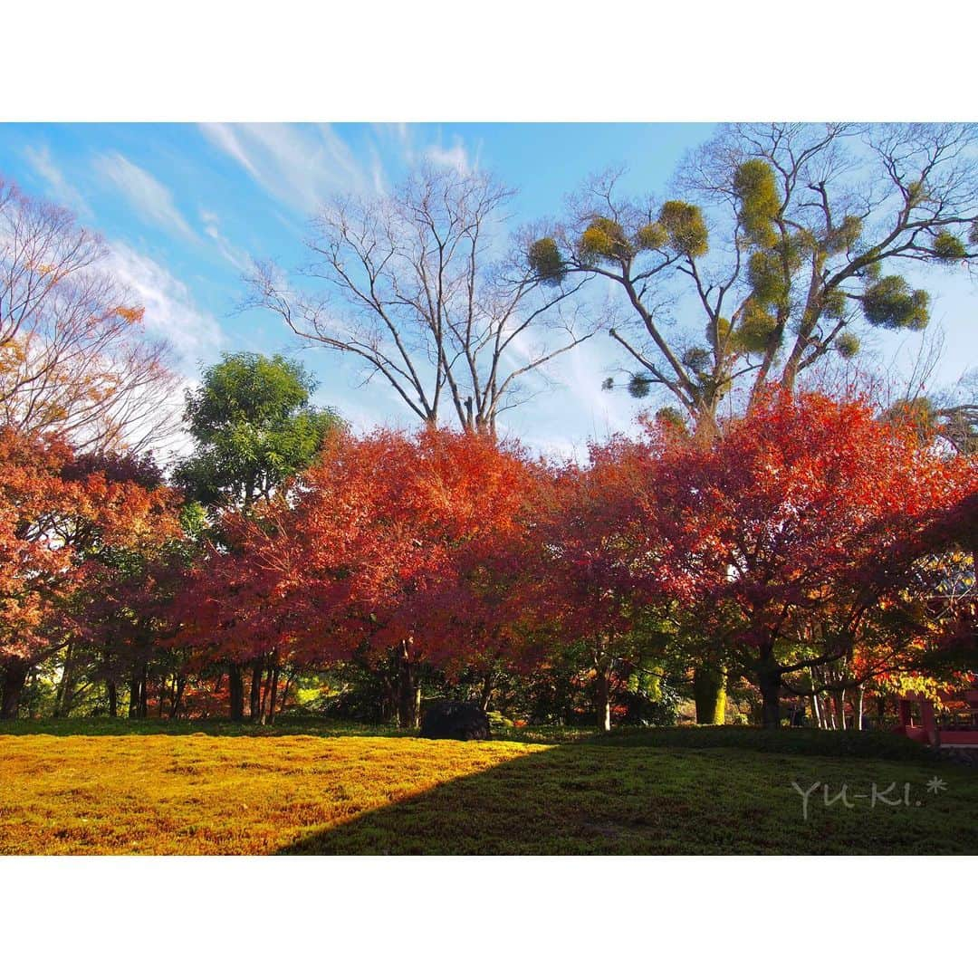 二見夕貴さんのインスタグラム写真 - (二見夕貴Instagram)「. 秋のひとり旅 2020 Kyoto🍁Day 3 . △ 平等院鳳凰堂 - 紅葉ショット . ミュージアムの近くの紅葉が最強でした🥺 眩しいくらいに紅葉してた🥺！✨ . . その辺で写真撮ってたら カメラおじさんたちが話しかけてくれて おしゃべりしながら撮ってたら まさかの地元一緒で楽しい出逢いでした😊笑 グループで来て広い境内を男女分かれて回って、 約束の時間に再集合っていう 青春ぽくて楽しそうだった😊✨ . . いつも旅先での出逢いは とっても嬉しくてたのしい☺️ ( そのまま友達になれたら友達多い人になれるんだろうなあ笑 ) . . . 投稿ペースが遅すぎてXmas来ちゃうし😂笑 . #redleaves #japanautumn #kyototrip #travelinjapan #cameragirl #tripgirl #byodoin #fallenleaves #OLYNMPUSpen #紅葉狩り #秋旅 #カメラ女子 #京都旅 #ひとり旅女子 #平等院鳳凰堂 #ファインダー越しの私の世界 #写真好きな人と繋がりたい #落ち葉」12月22日 2時03分 - yyyuki___