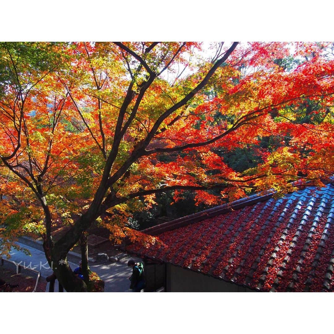 二見夕貴のインスタグラム
