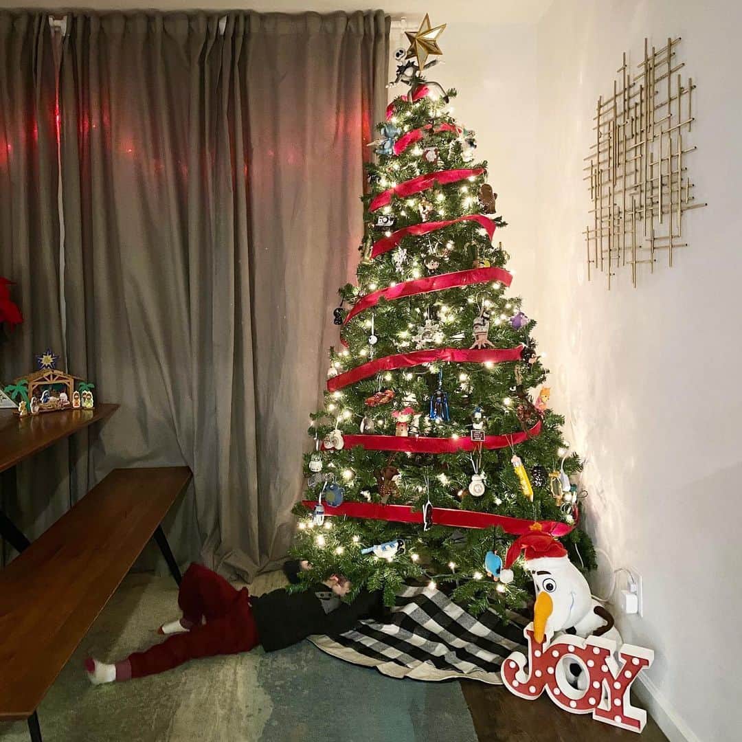 フリーディアのインスタグラム：「When your just waiting for Christmas to be here already.  * * クリスマスが待ち遠しい時。 #christmas #countdown #juatwaiting #isithereyet #underthetree #christmas2020 #friediamn #friedia」