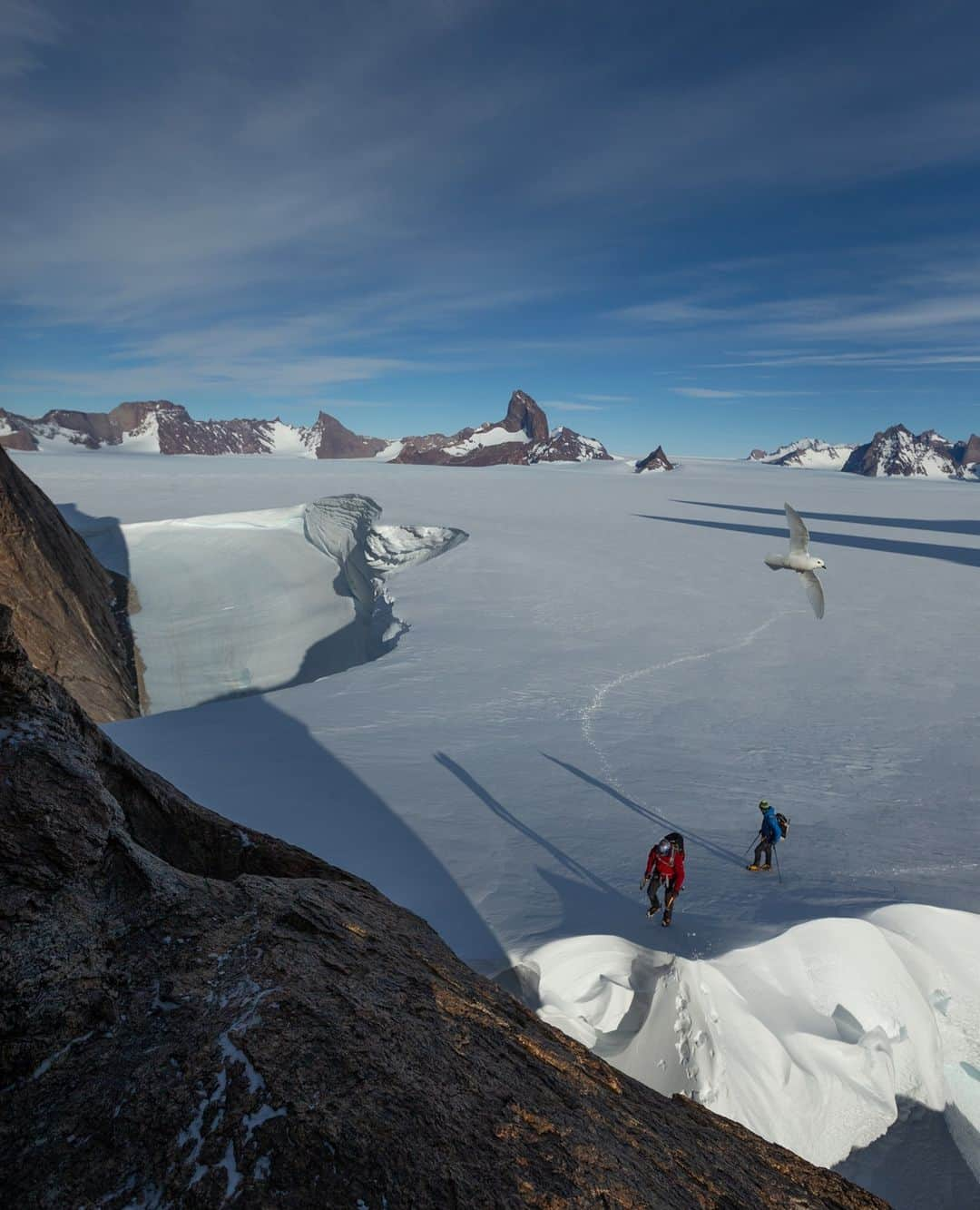 Cory Richardsさんのインスタグラム写真 - (Cory RichardsInstagram)「This image is a perfect example of being in the right place at the right time. As I was setting up to @mikelibecki and @freddiewilkinson on our approach for the days climbing objective, a curious snow petrel decided to fly into the frame. Sure, a shot like this can be staged, but it's that much more magical when it's unexpected. Shot #onassignment for @natgeo.」12月22日 2時31分 - coryrichards