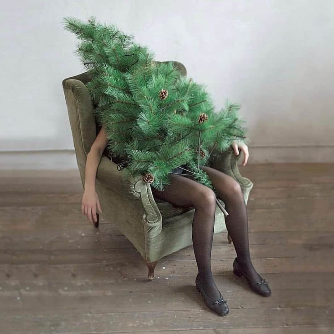 カレントエリオットのインスタグラム：「getting into the holiday spirit 🌲 cc: @iosonopipo  #inspo #christmastree #mood #holidays #winter」