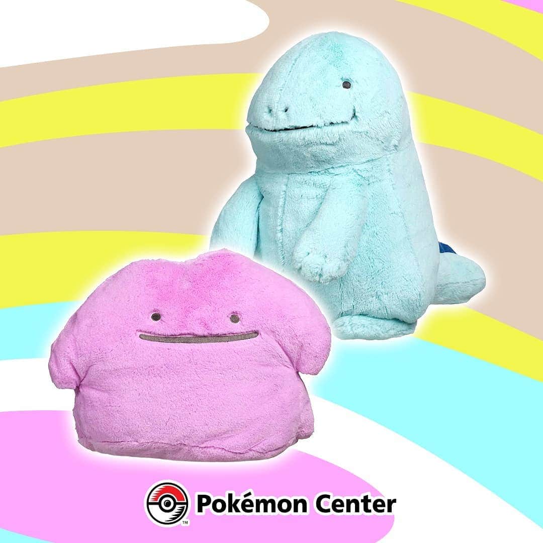 Pokémonさんのインスタグラム写真 - (PokémonInstagram)「No one: Ditto: 🙂 Quagsire: 🙂 US and Canadian Trainers hugging new plush: 😍🤗💕  Tap the link in our bio to find these Comfy Friends at the #PokemonCenter!」12月22日 3時35分 - pokemon