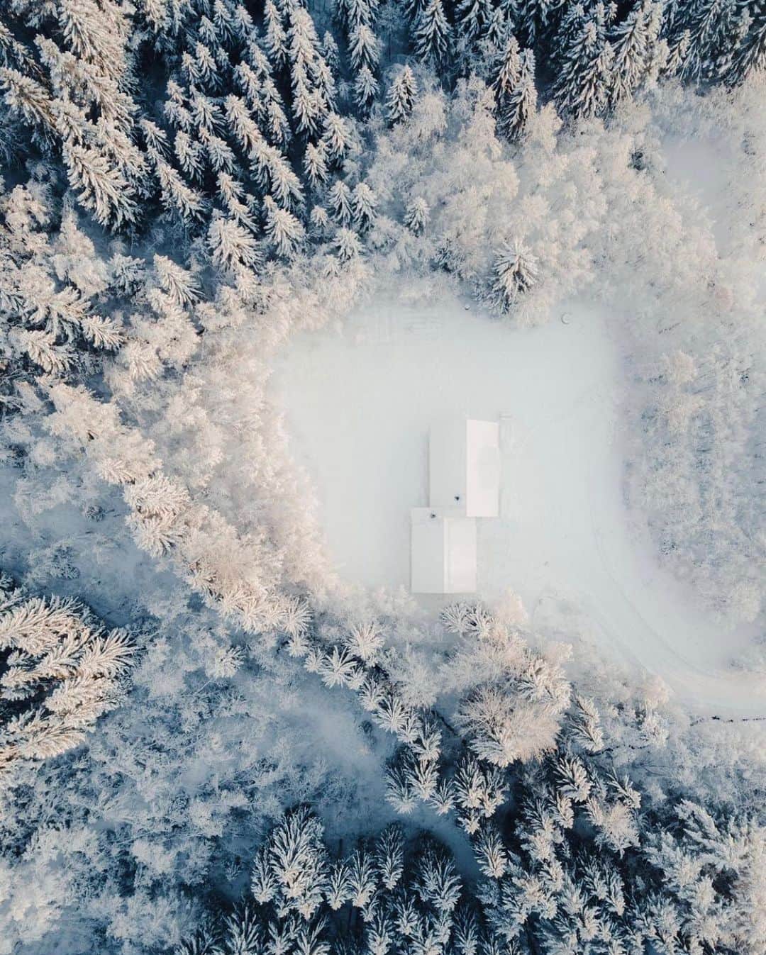 FOLKのインスタグラム：「Happy winter solstice. Today’s favorites are: 1.) @bennybystrom 2.) @jwirtalla 3.) @marvin_walter 4.) @alxcrzt 5.) @popivisuals 6.) @ryanresatka」
