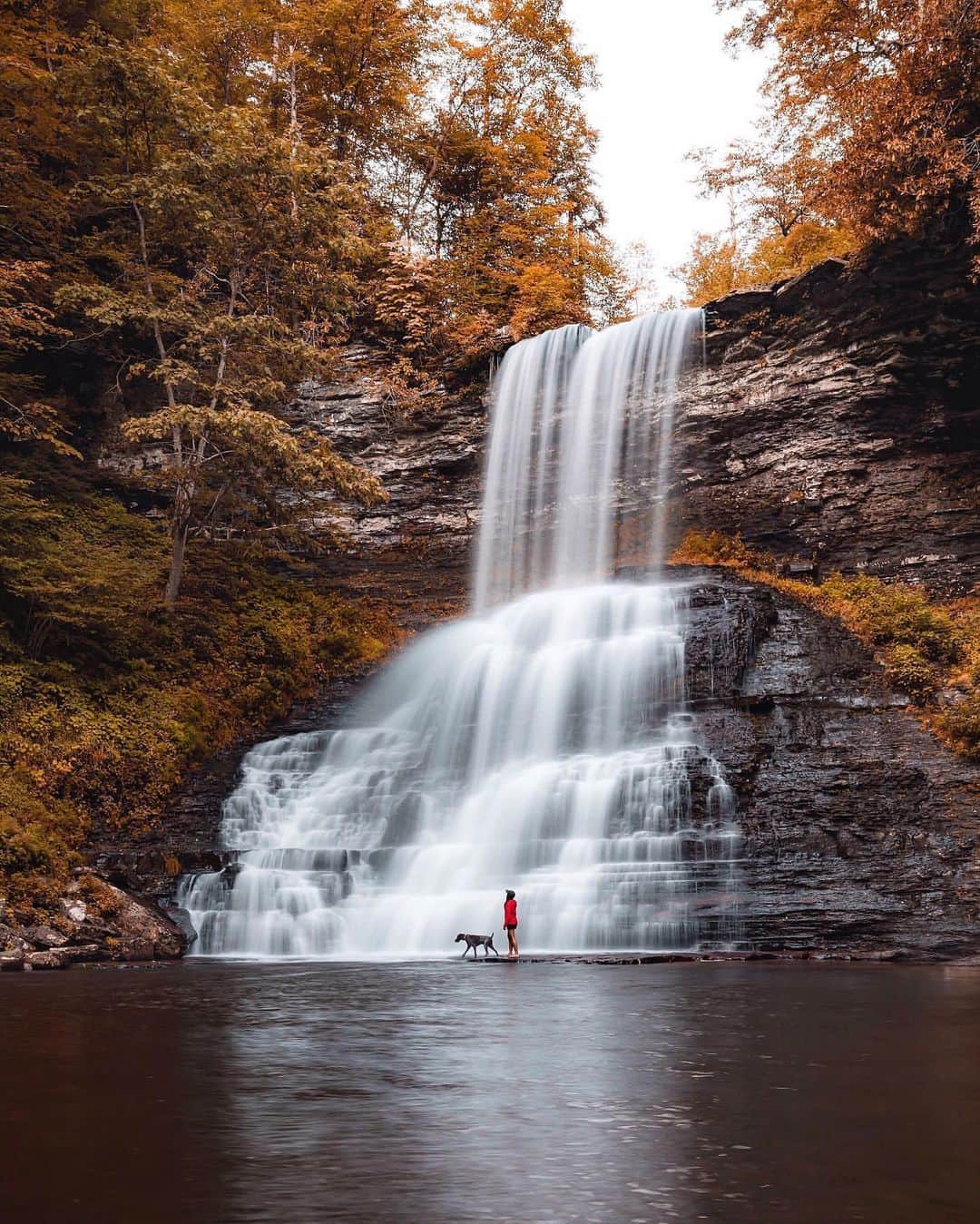PolarProさんのインスタグラム写真 - (PolarProInstagram)「Photo of the Day: Mondays made better with a daily dose of nature 🍂Shot on #sony #a7iii #QuartzLine CP📸: @tiffpenguin + @kenton_steryous」12月22日 4時02分 - polarpro