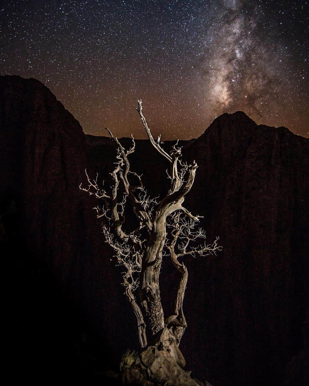 ジミー・チンさんのインスタグラム写真 - (ジミー・チンInstagram)「I found these rugged Juniper Trees in Morocco endlessly interesting to look at. So here you go, a portrait of a Moroccan Juniper Tree. ⁣ Taghia, Atlas Mountains, Morocco ⁣ Prints available at link in profile」12月22日 6時00分 - jimmychin