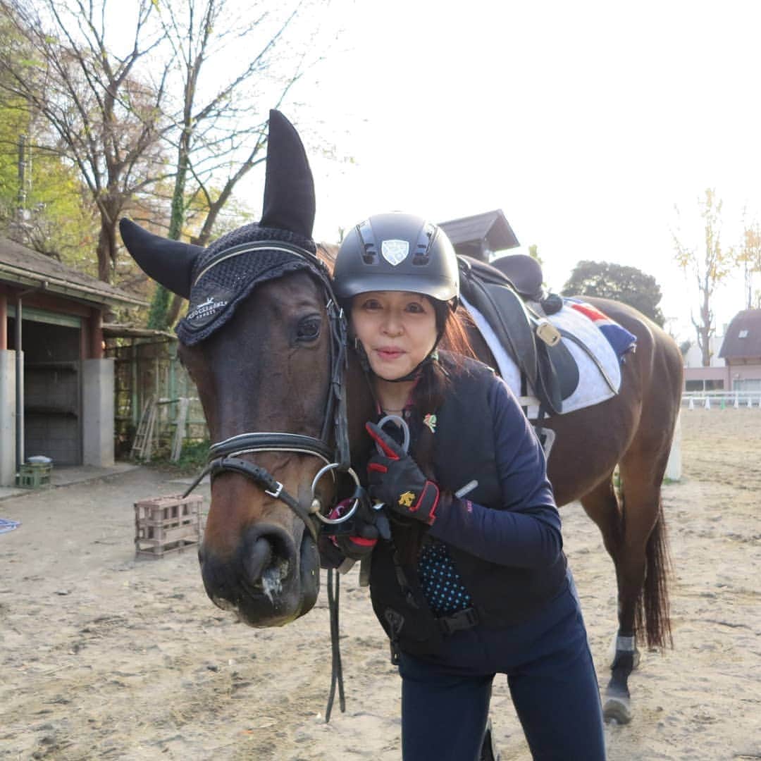 宇月田麻裕さんのインスタグラム写真 - (宇月田麻裕Instagram)「12/10乗馬日記「いやーん」マーキュリー   乗馬日記いきまーす。 マーキュリー率が高くなっています。  騎乗した日に、画像と動画載せています。    今日の相棒は、#マーキュリー   さて、レッスンは、「マーキュリー」＆Ｔ先生。   名前の由来は、フレディマーキュリーから。  前回のフレディーと同じ時期に入ったので、この名前。 先生が下乗りしてくださいました。  「まきゅー」  マキュちゃんがいい子なので、わりと良い感じで乗れたかな？     前半は反動になれず、後半になり慣れてきます。　     速歩は反動あるけど、駈歩はなだらかで乗りやすい。  素直でとってもいい子。  外方の脚を引くだけで発信してくれます。  「オッケー」     駈歩発進できたあとに、継続したく、鞭をつかったところ     まきゅ「いやーん」  　　「ちゃんとやっているじゃん！」     と少し怒ってしまいました。     先生「ちゃんとやっているのに鞭はダメです」     「まきゅー、ごめんー。このことはすぐに忘れて」     その後も、とっても良い子。  「いい子だったねー。さっきのことはもう忘れているよね」 無駄鞭してごめん🙇💦💦  マーキュリー、女子ほくて可愛い顔してる💞(男子だけど)   競走馬名　  マヤノラスティー     マヤノラスティー  競走馬データ - netkeiba.comマヤノラスティーの競走馬データです。競走成績、血統情報、産駒情報などをはじめ、50万頭以上の競走馬、騎手・調教師・馬主・生産者の全データがご覧いただけます。￼db.netkeiba.com￼    お母さんの名前「チチンプイプイ」     チチンプイプイ  競走馬データ - netkeiba.comチチンプイプイの競走馬データです。競走成績、血統情報、産駒情報などをはじめ、50万頭以上の競走馬、騎手・調教師・馬主・生産者の全データがご覧いただけます。￼db.netkeiba.com￼  ￼    乗馬日記、次回に続く。」12月22日 17時28分 - mahiro_utsukita