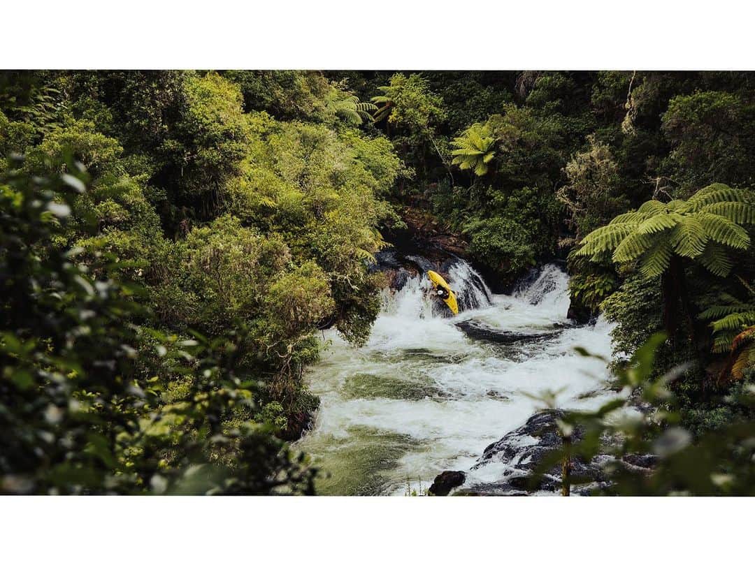 マイケル・ドーソンさんのインスタグラム写真 - (マイケル・ドーソンInstagram)「Epic day out shooting some @georgesnook_ lighting up his local #kaituna #nextgen   #kayak #whitewater #okerefalls #rotorua #rotoruanz」12月22日 17時30分 - mrmikedawson