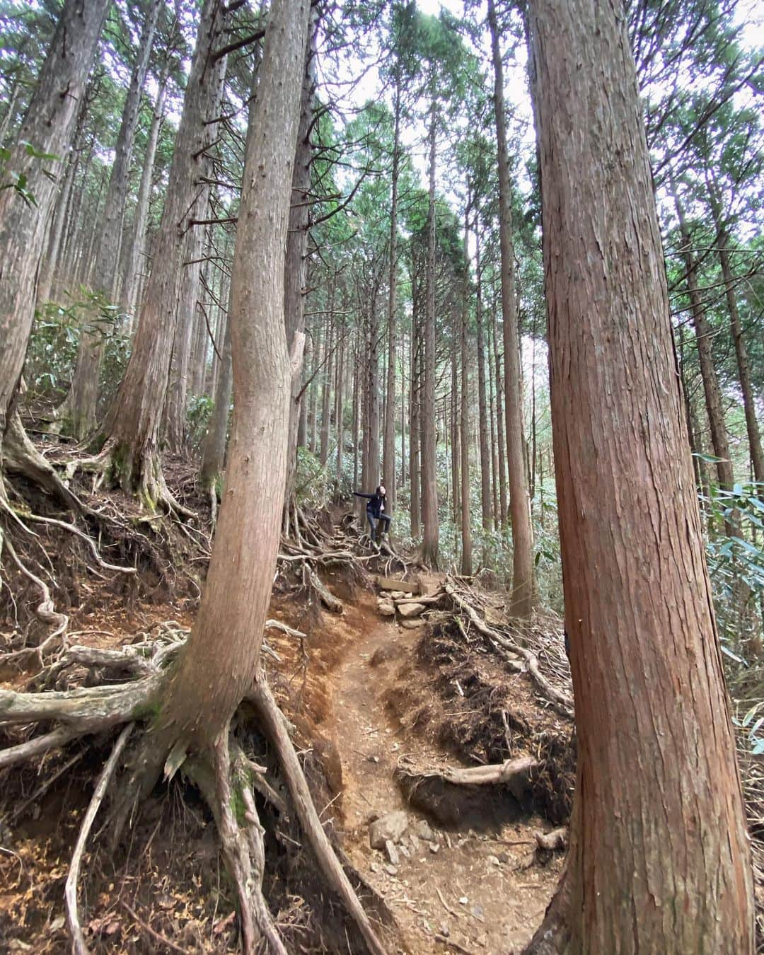 akkoさんのインスタグラム写真 - (akkoInstagram)「久しぶりになっちーとトレッキングへ❣️ 初めての金時山⛰ 山頂はとても寒くて、、かなり怪しげな私😎 それでもやはり😆気持ち良かったぁ〜☺️👍  #akko #akkostagram #mll #金時山」12月22日 16時25分 - mllakko