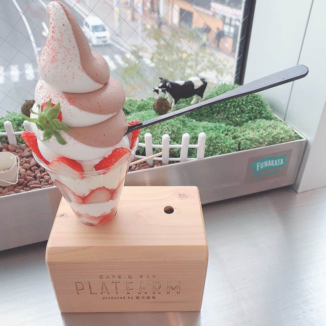 のインスタグラム：「☕️山口県・新山口 Cafe&Bar PLATFARM @platfarm さん ・ 昨日からお仕事で山口県に来てます☺️💓 山口に来たら絶対行こうと思ってたカフェ🙆‍♀️ 駅からすぐだったからすごく便利👏🏻✨ ・ しかもめっちゃ美味しかったし 写真映えも最高だったのー🥰 ・ #platfarm #cafeandbarplatfarm  #山口カフェ #山口スイーツ #山口グルメ #新山口カフェ #新山口グルメ #山口市 #カフェスタグラム #カフェ巡り #カフェ巡り好きな人と繋がりたい  #中国地方グルメ #おいしいもの好きな人と繋がりたい #カフェ活 #おすすめカフェ #カフェ女子 #ゆーろの美味しいメモ」