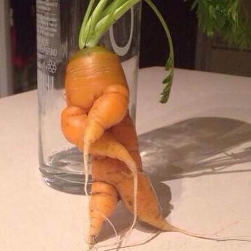 uglyfruitandvegのインスタグラム：「PLEASE LEAVE AN EMOJI OR COMMENT TO BOOST! This is the first image posted here almost 6 years ago. And now it’s time for me to close this account. Just too much about Facebook (who owns Instagram) for me to ignore and continue to participate in. Watch Social Dilemma and follow those in the film (and Carole Cadwalladr) for more. Thanks for all the love and discussion here. Hope to see you on Twitter @JordanForEarth or @UglyFruitAndVeg. Please leave an emoji or comment here so more see this post. Thanks! ❤️」