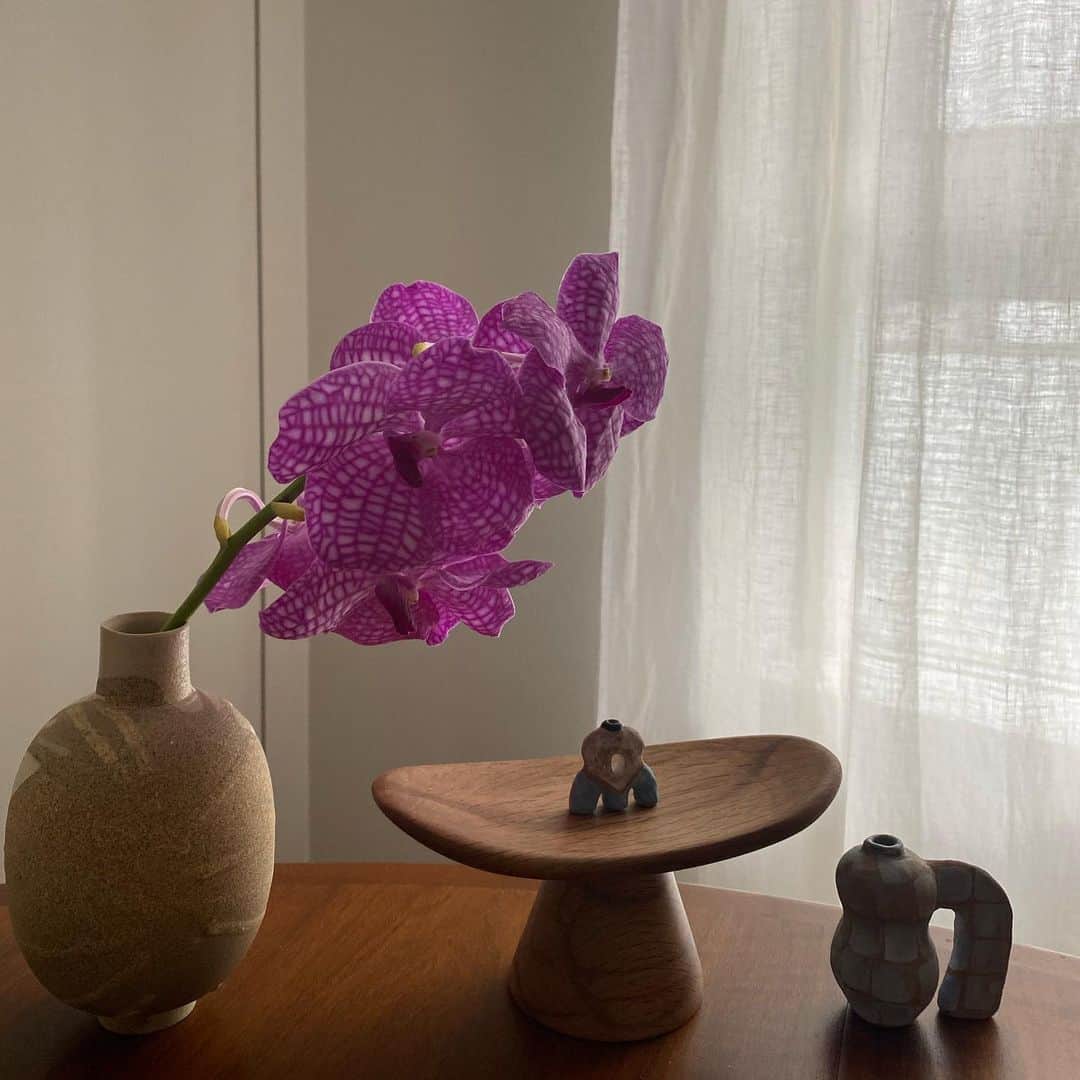 水野里砂のインスタグラム：「🥀🪵🏺  #interior」