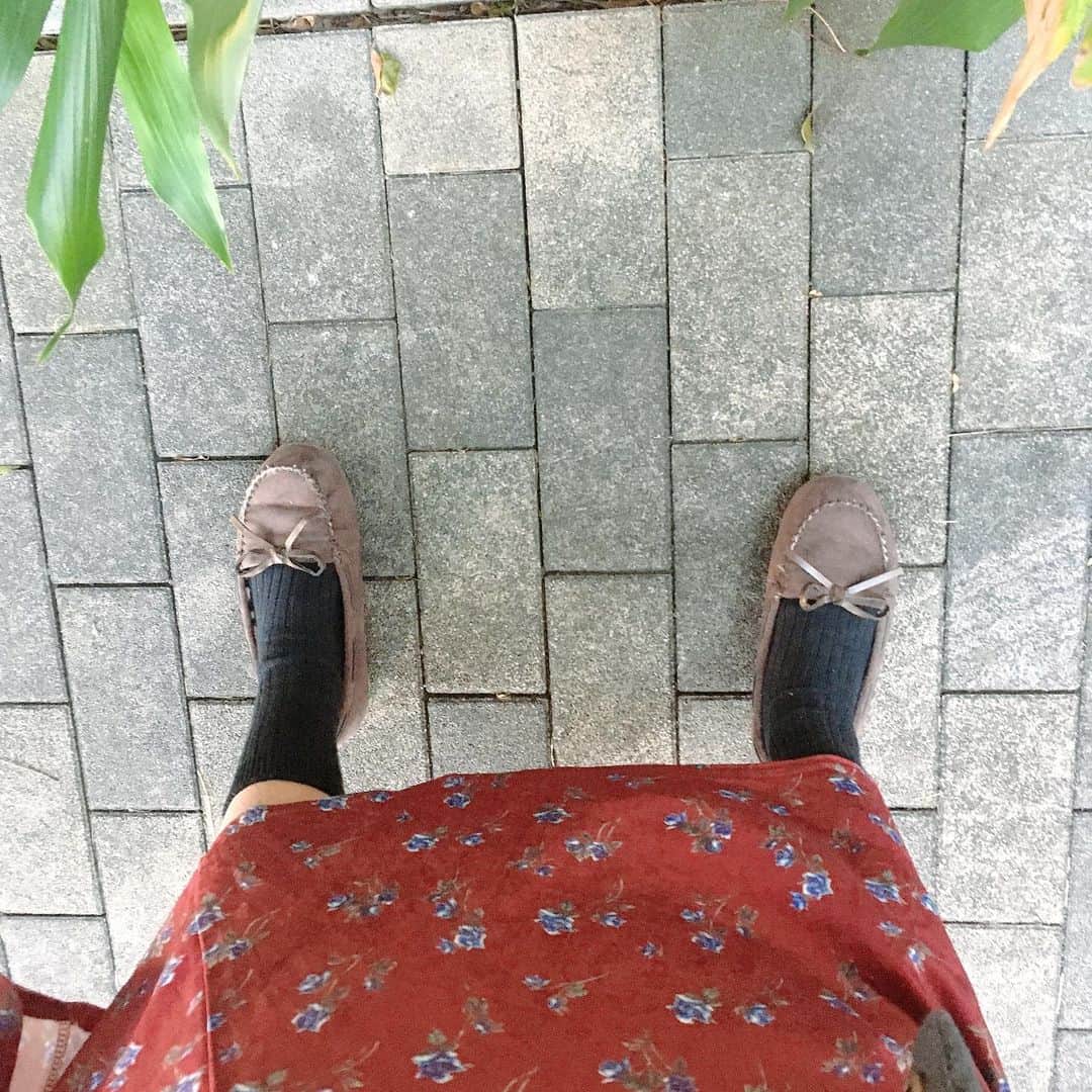 葵さんのインスタグラム写真 - (葵Instagram)「足先がますます寒くなってきましたが、私は @silkdekyoto 様の 「シルク五本指&オーガニックコットンリブ2枚履き靴下」を履いています♪  シルクの冷えとりは石原さとみさん、波瑠さんをはじめ女優やモデルさんに人気の温活美容法です。 シルクと綿の靴下を重ね履きすることで、足指から出た汗を外に出して足をしっかり温められるので、靴下なら何でも重ねればいいというわけではないんです❣️  4枚目の五本指のシルクは、質に一段とこだわっているので、履き心地が指先まで気持ちが良いです💖 また黒のリブ靴下もオーガニックコットンなので天然素材で肌に優しく、 女子のおしゃれも叶える冷えとり靴下です😊 2枚重ね靴下で足元がぽかぽか❗️ 外出先はもちろん、おうちの中でもポカポカだから嬉しい😆  末端冷え性なので、普段の先丸靴下はもう履けなくなるくらい足先が暖くて快適です！！  おうちでは4枚靴下、お出かけ先ではこちらの2枚靴下を履いて、365日おしゃれに冷えとり生活してもらいたいというコンセプトで企画した靴下なので楽しみたいです♪ 4枚重ね靴下とのセットで買うとお得ですよ！ #silkdekyoto#silkdekyoto公式オフィシャルショップ#素肌に最高の贅沢を#シルク#冷えとり#冷えとり靴下#冷え性改善#冷え対策#冷えとりファッション#冷えとりコーデ#pr #免疫力アップ#温活#温活女子#妊活#妊活スタート#妊活アカウント#妊活中#マタニティ#マタニティコーデ#美肌ケア#美肌作り#在宅ワーク#在宅勤務#在宅ワークママ#リモートワーク #レディワーカーootd」12月22日 9時57分 - dolphin_coconut