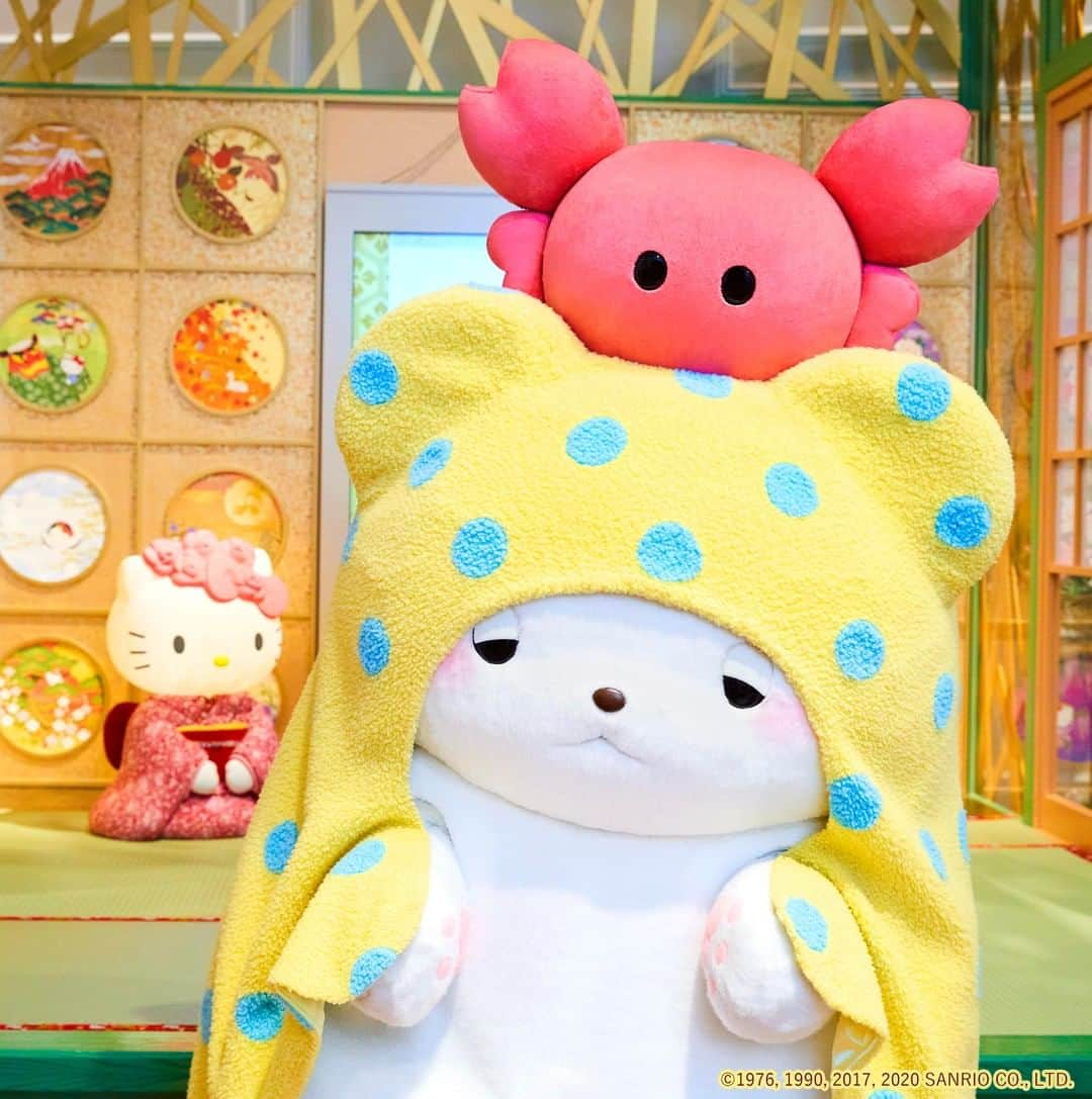 Sanrio Purolandさんのインスタグラム写真 - (Sanrio PurolandInstagram)「୨୧ モップは、おうちが大好きなしろいこぐまのおとこのコ。 . あ！眠そうな目をしたモップを発見｡οΟ . いつものお気に入りのブランケットにくるまって、冬でもぽかぽかあたたかそう。。 あたたかくなると、眠くなっちゃうよね♡ ーーー #サンリオピューロランド #sanriopuroland #ピューロジェニック #ピューロランド #ピューロ #サンリオ #テーマパーク #サンリオ好き #モップ #まるもふびより #推し事 #推しのいる生活 #可愛いものが好き #ピューロ写真部 #ゆめかわ #ゆめかわいい #KAWAII #レディキティハウス」12月22日 10時00分 - purolandjp