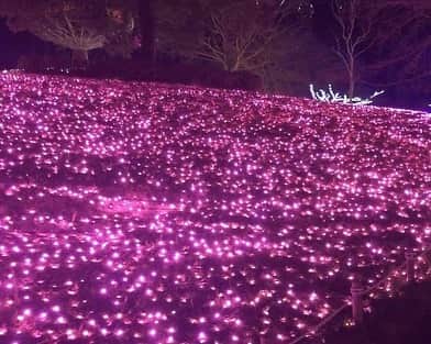 北川大介さんのインスタグラム写真 - (北川大介Instagram)「おはよう！ いつもYouTubeを観てくれてありがとう(^^) 600万ものLED電球は圧巻でした！ 凄いよね〜💡💡💡 だいちゃんねる動画から伝わったかな？ 神奈川県「相模湖イルミリオン」 イルミネーション絨毯の上を、虹のリフトで空を飛んでいるようでした。 おとぎの国のクリスマスだよね🎄魔法がかかっているみたい！ 普段はキャンプや遊園地そして温泉施設なのですが、冬〜春までのこの時期だけは光の花畑に変わります。 しかしカップルばかりだったなぁ〜 だからきっと男2人って目立つよね(笑) ところで、あの電球💡片付けるのも大変だろうね！どこにどうやって保管しているのかな？かなり大きい倉庫がないと無理だよね〜 などと、男2人だと現実的な会話になっちゃったりするものです(^^;) 皆さーん、僕とのイルミリオンデート楽しんでくれましたか？ さぁ、お次はどちらに皆さんをエスコートして差し上げようかな(^^) ・ ・ #相模湖 #イルミリオン #イルミネーション #北川大介 #星空のツイスト #YouTube #だいちゃんねる #えくぼ #八重歯 #リーゼント #イエーイ #顔晴ろう #一生青春 #早くコロナが終息しますように」12月22日 10時02分 - kitagawadaisuke_official