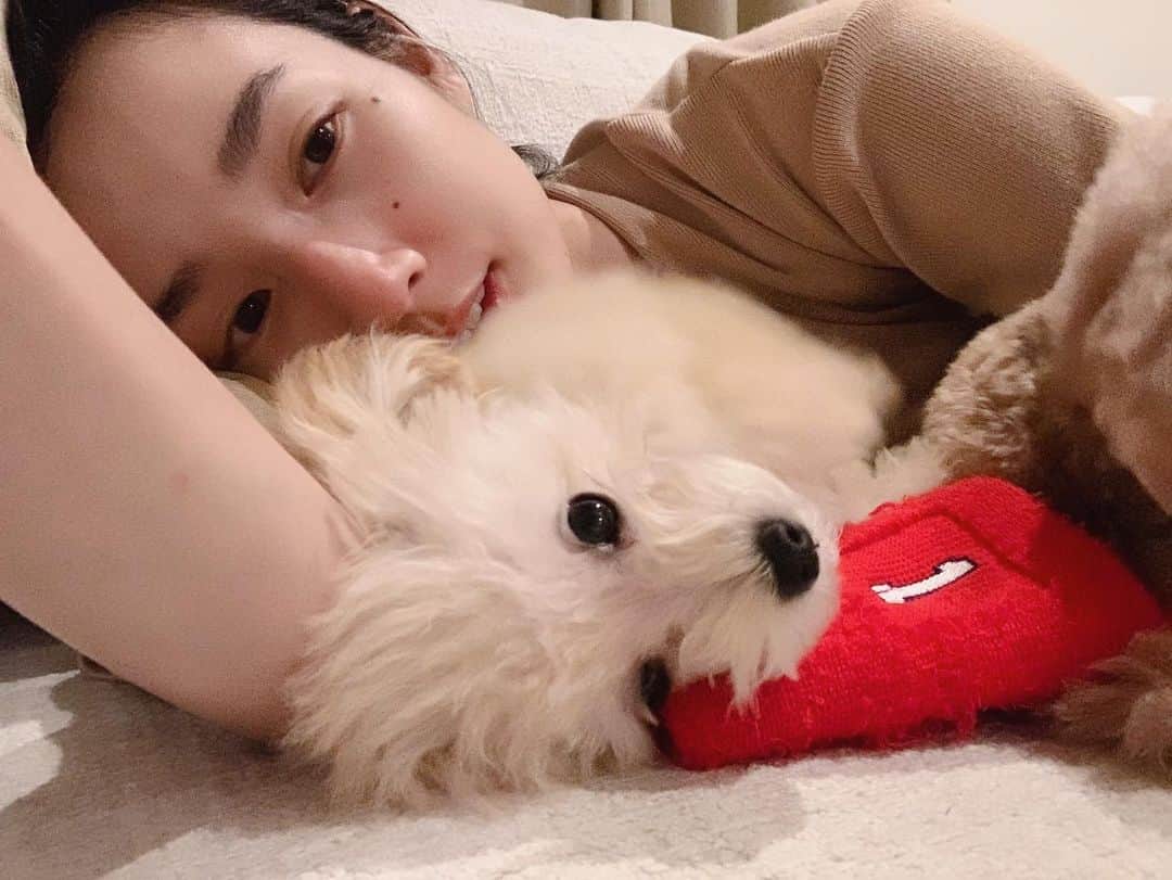 高嶋香帆のインスタグラム：「おは、よう！ ねん、まつ！ とし、こし！ はっやい！  今日も素敵な一日を。」