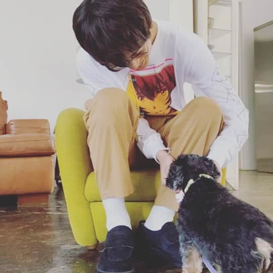 神尾楓珠のインスタグラム：「【オフショット動画】﻿ ﻿ 『神尾楓珠カレンダー2021』発売中✨﻿ ﻿ ﻿ 🐶捕獲。﻿ ﻿ ﻿ #神尾楓珠﻿ #神尾楓珠カレンダー﻿ ﻿ #いけ！﻿ ﻿ #最後﻿ #周りを気にする楓珠。﻿ #犬飼ってました」