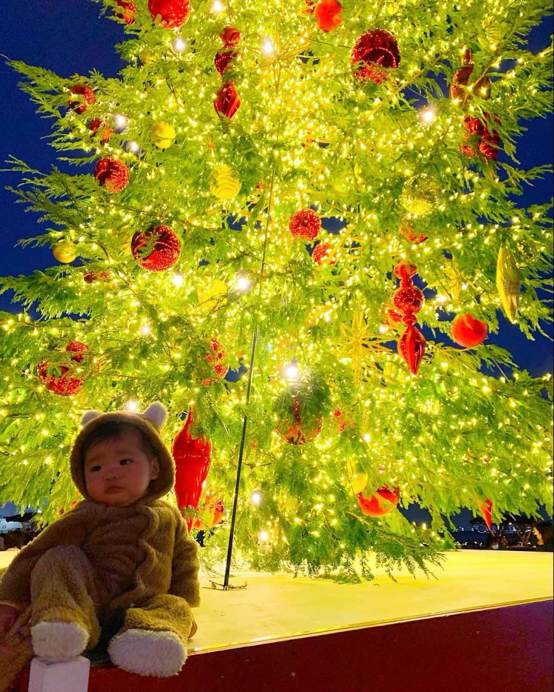 miniのインスタグラム：「🧸🎄🤎✨ 来年の今頃は、また更に出来る事が増えて、自分の力で色々出来るようになってるんだろうな…🥺👶🏽💓 たくさん色んな事を感じれるように色んなものを感じさせてあげたいな🧸💕✨ #baby #babybear #christmas #christmastree #merrychristmas  #ベビー #生後5ヶ月 #ベビーベア #テディベア」