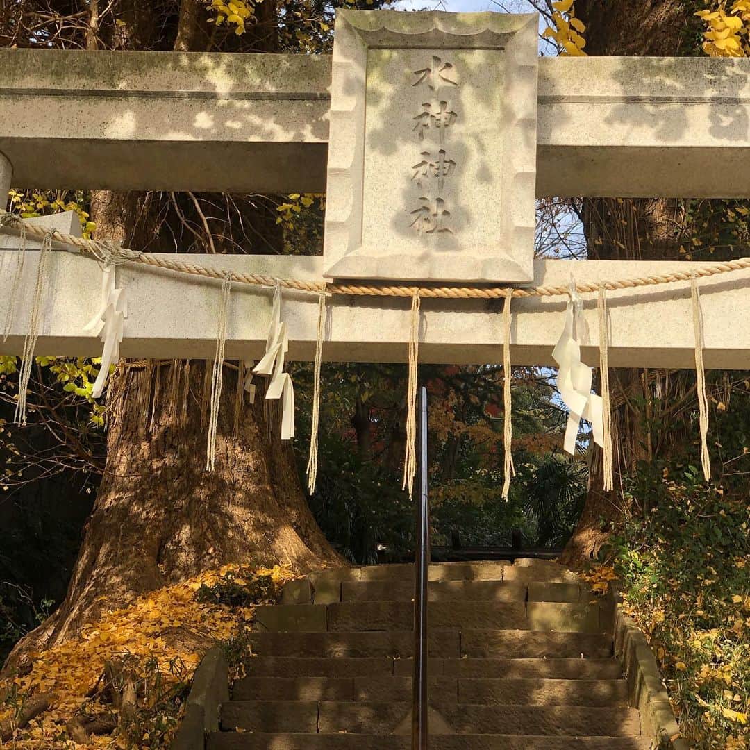 ヨネスケさんのインスタグラム写真 - (ヨネスケInstagram)「文京区にある、水神神社。 とにかくイチョウが綺麗。まるで村の鎮守様みたい。ノスタルジーに浸る。 #文京区#水神神社#イチョウ」12月22日 10時56分 - yonesuke5656