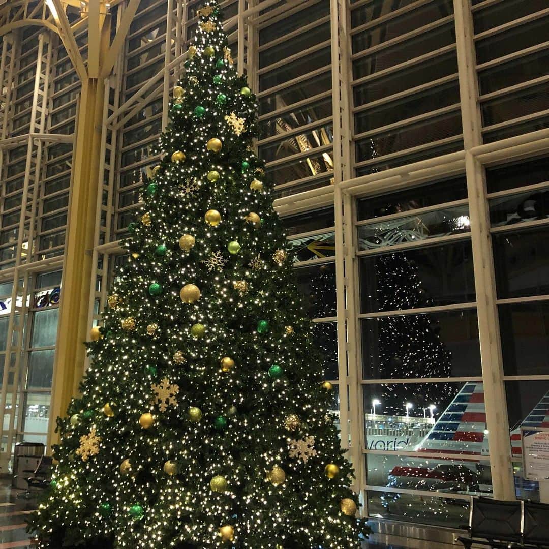 アメリカ大使館さんのインスタグラム写真 - (アメリカ大使館Instagram)「Ronald Reagan Washington National Airport (ロナルド・レーガン・ワシントン・ナショナル空港)の中にある大きなクリスマスツリー🎄 ゴールド＆グリーンで統一されたクリスマスツリー🎄も素敵ですね✨ . #usa #america #livinginamerica #airport #terminal #christmastree #gold #green #holidayseason #snowflake #christmaslights #airplane #アメリカ #アメリカ生活 #留学 #studyabroad #クリスマスツリー #空港 #ターミナル #ホリデーシーズン #ゴールド #グリーン #飛行機 #空の旅 #キラキラ #ワシントンdc」12月22日 11時52分 - usembassytokyo