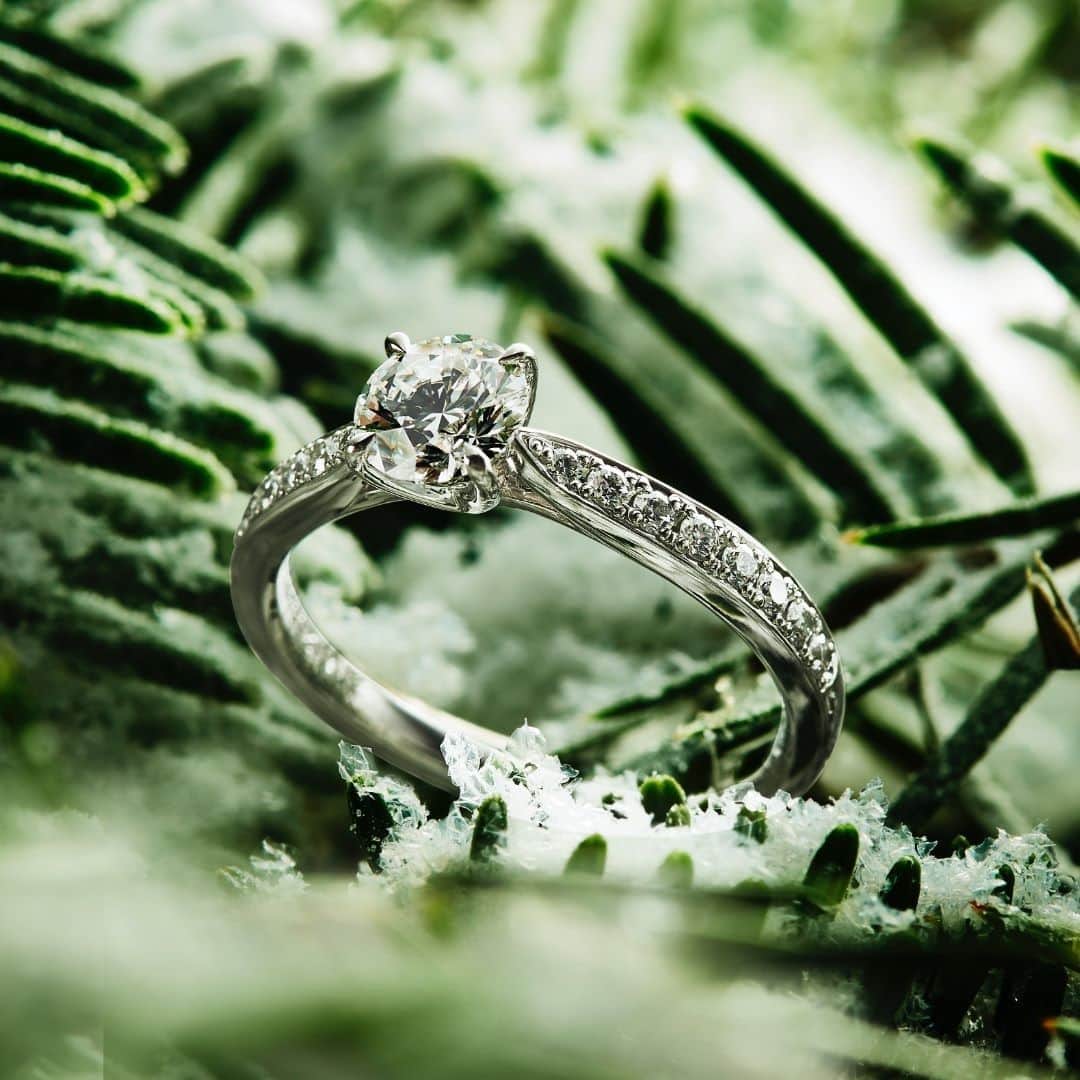 ラザール ダイヤモンド ブティック公式 | 婚約・結婚指輪さんのインスタグラム写真 - (ラザール ダイヤモンド ブティック公式 | 婚約・結婚指輪Instagram)「指先を、体を、そして自身を賛美するかのようなエンゲージリング。それが「ウィル」が秘める魅力だ。  メレダイヤがリズミカルにレイアウトされたアームは、センターに向かってキュッとシェイプ。ダイヤモンドが一段とボリューミーに、かつまばゆいほどの輝きを放つ。  優美さにコンテンポラリーな美しさが加わった知的なムード。最高のファインジュエリーをあなたの指にまとって。  プロフィールのリンクからHPをご覧いただけます。﻿ →@lazarediamond_boutique  #結婚指輪 #婚約指輪 #マリッジリング #ブライダルジュエリー #エタニティリング #エンゲージリング #marriagering #bridaljewelry #engagementring #結婚指輪選び #婚約指輪選び #結婚指輪探し #婚約指輪探し #lazarediamond #ラザールダイヤモンド #will #ウィル」12月22日 12時00分 - lazarediamond_boutique