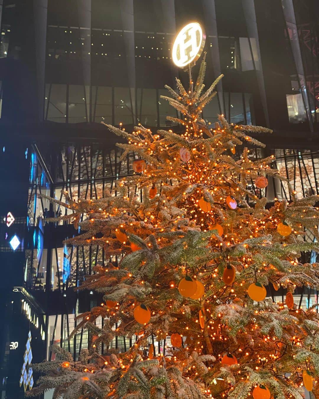 ImotoEtsuyo さんのインスタグラム写真 - (ImotoEtsuyo Instagram)「オレンジのツリーも 可愛いですね♪ ・ ・ ・ ・  #hermes  #hermès  #christmastree  #orangetree  #クリスマスツリー  #オレンジツリー  #メゾンエルメス  #銀座」12月22日 17時43分 - bisuhada