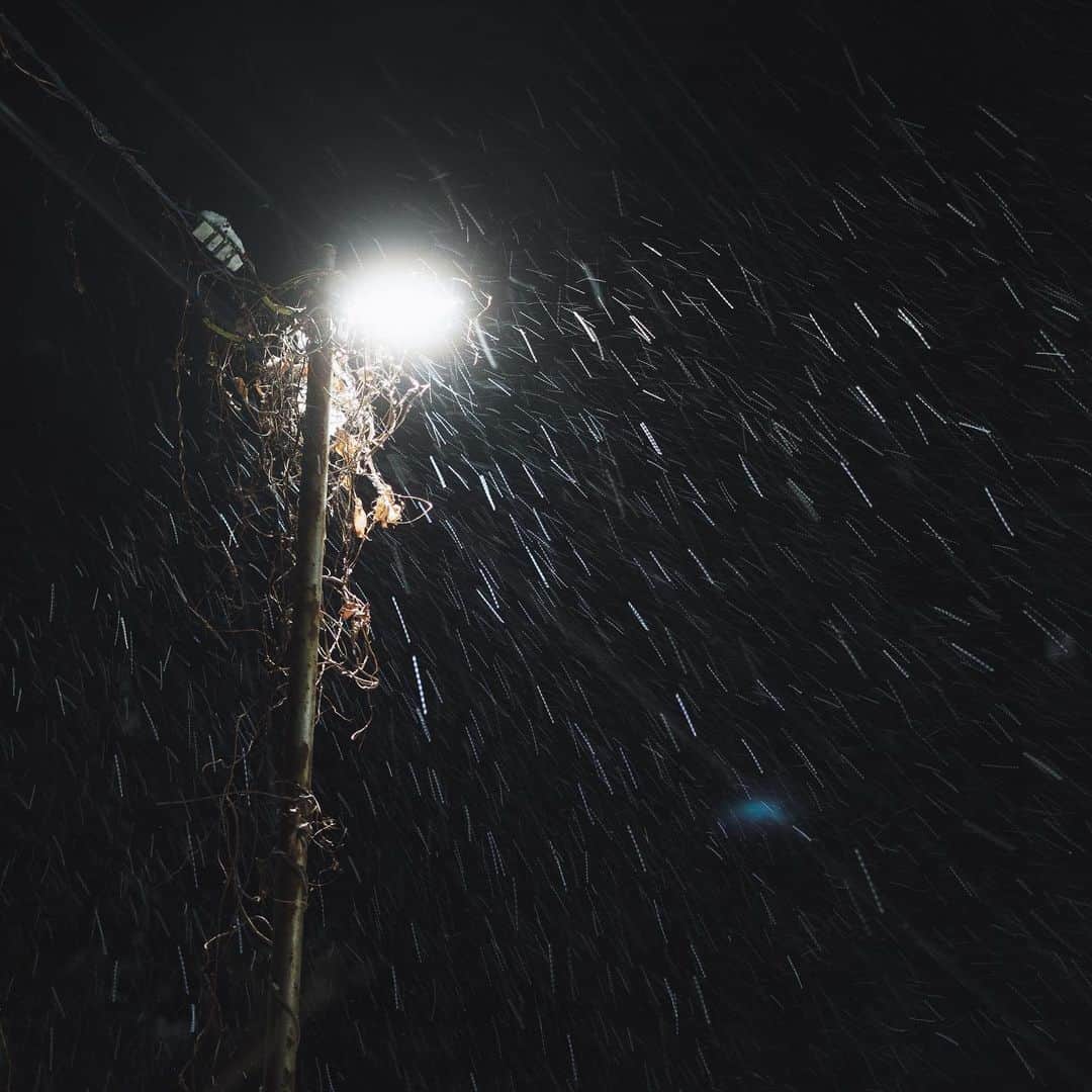 市川渚さんのインスタグラム写真 - (市川渚Instagram)「雪の夜散歩☃️❄️  Walking in the snow at night.」12月22日 17時38分 - nagiko
