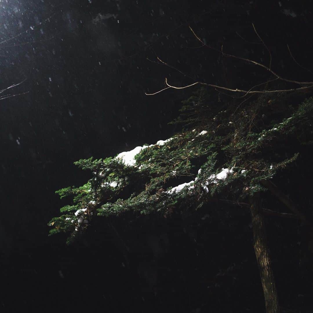 市川渚のインスタグラム：「雪の夜散歩☃️❄️  Walking in the snow at night.」