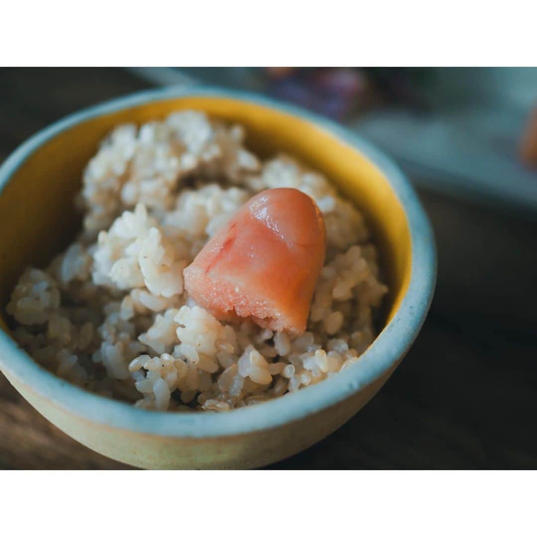 高山都さんのインスタグラム写真 - (高山都Instagram)「美味しい明太子と玄米、季節の野菜(カブ、カブの葉、キャベツ)の味噌汁。 質素だけど、しみじみ美味しかった。 ひさこ @hisakonamekata からの冬の贈り物 @yamayafan のできたて明太子が、辛くなくてムニッと柔らかく、ほんとうに美味しい。 長皿って、使い方のバリエーションが実はとてもあって、毎回ワクワクする。 @3rd_ceramics のもの。大人気になってしまって、 #高山都の美食姿展 でも品薄だったり完売してたりしますが、出会えたらラッキーくらいの気持ちでお店覗いてもらえたら嬉しいです。」12月22日 12時26分 - miyare38