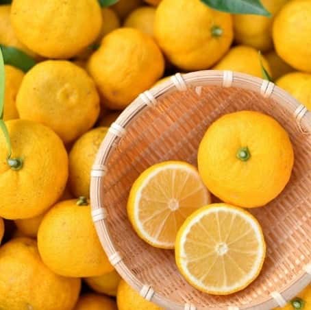 ゆずの小町京橋店のグルメインスタ