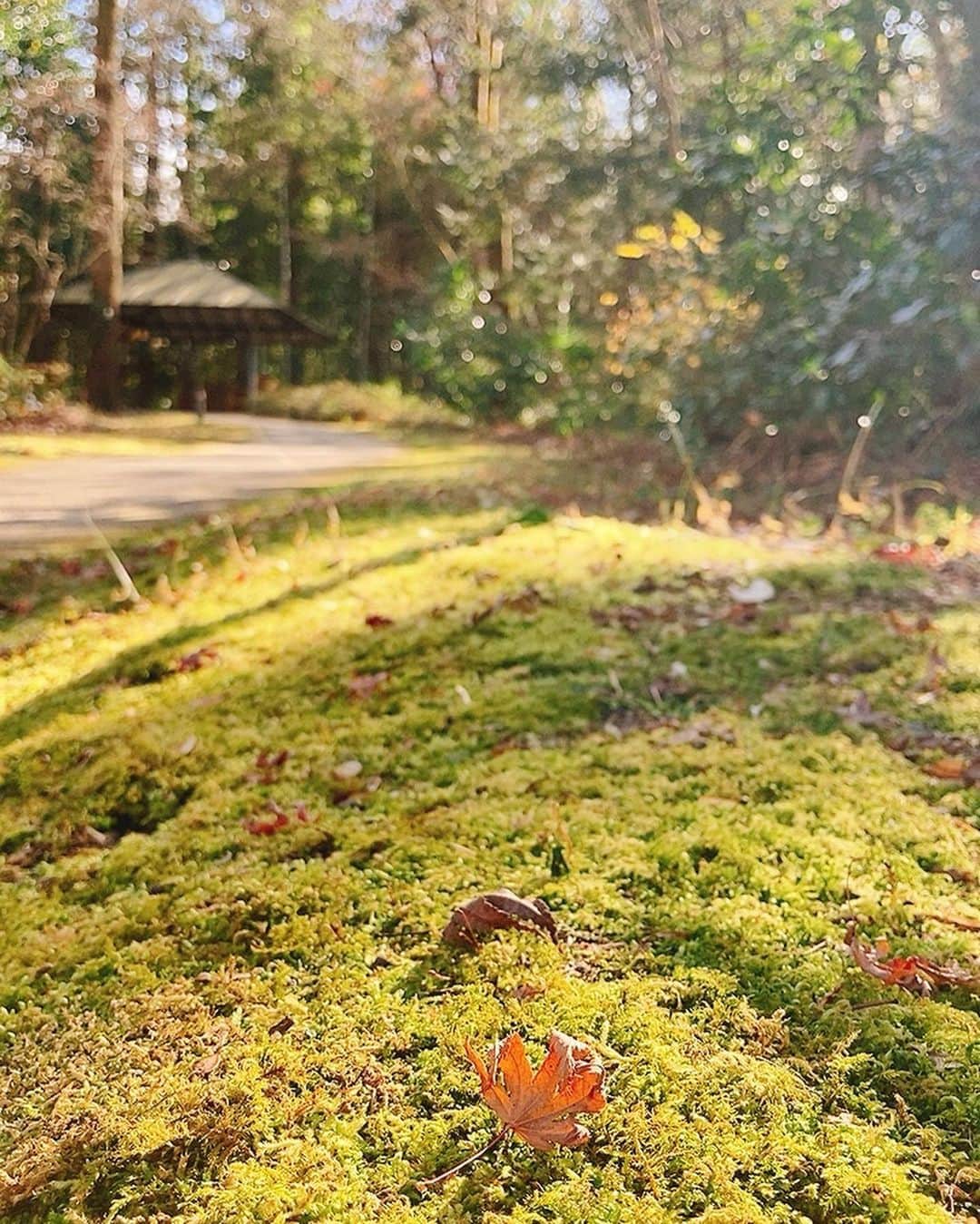 佐藤千晶のインスタグラム